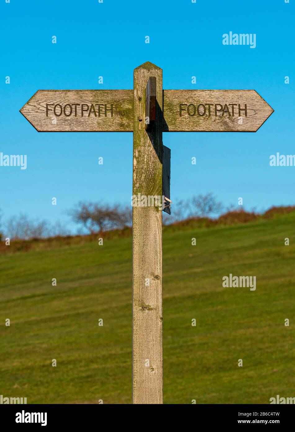 Holz-FuSspfad-Schild, das in verschiedene Richtungen zeigt Stockfoto