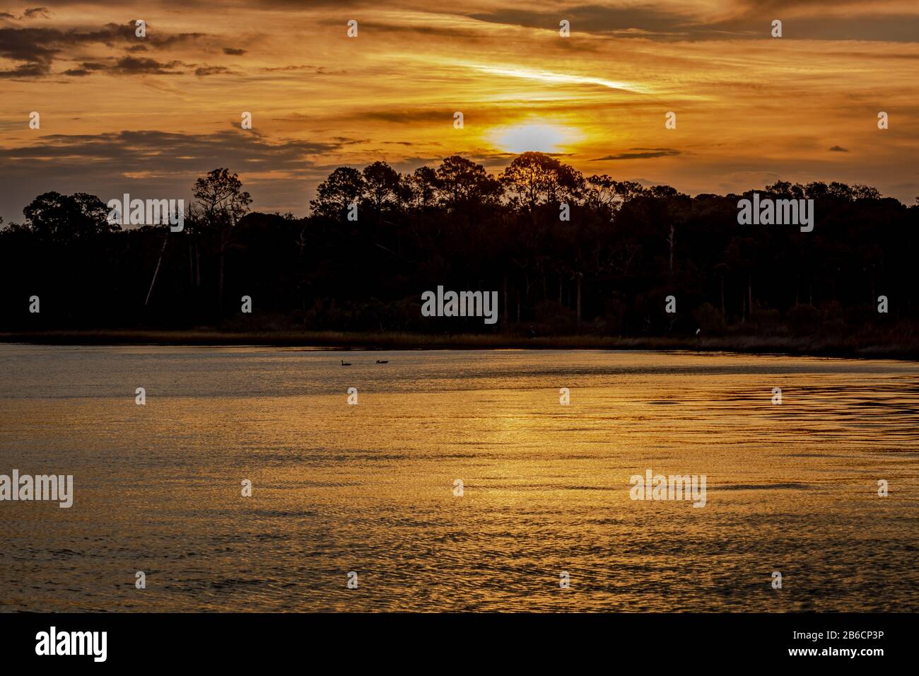 Sonnenaufgang im Preserve Stockfoto