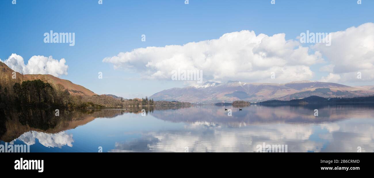 Kanadische Gänse auf Derwent Water im Lake District. Stockfoto