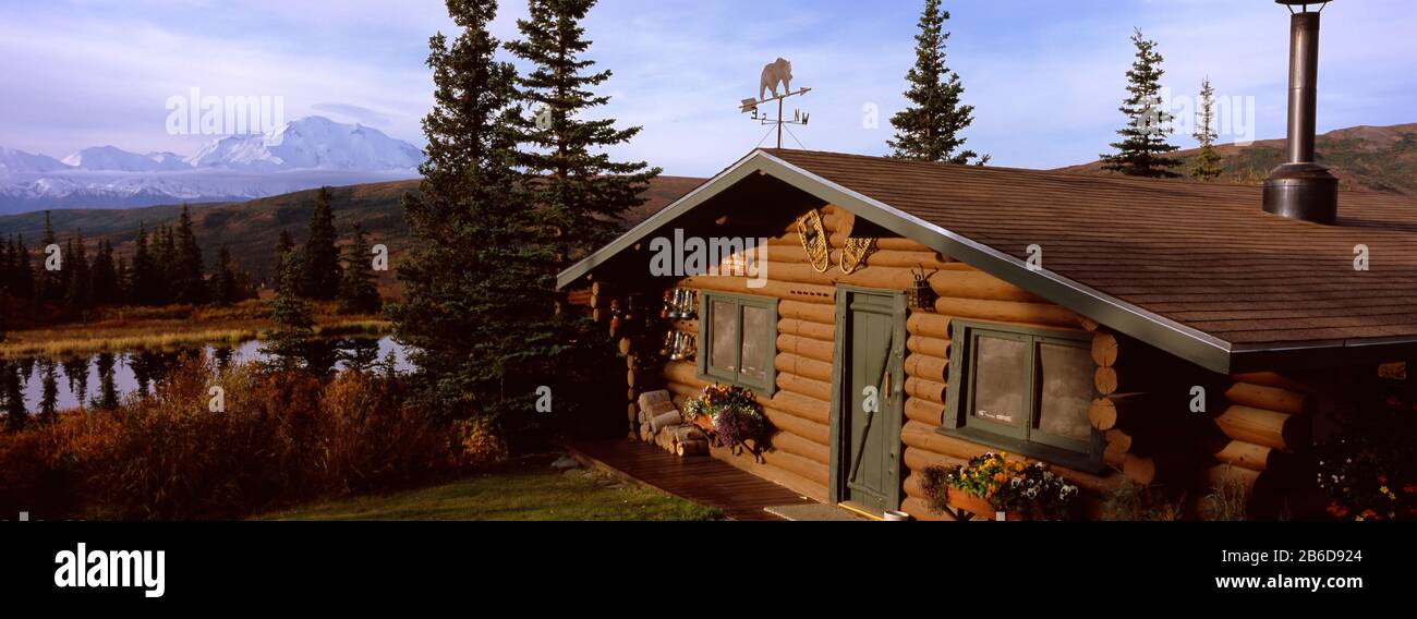 Bäume auf einem Hügel mit einer Bergkette im Hintergrund, Camp Denali, Mt McKinley, Denali National Park, Alaska, USA Stockfoto