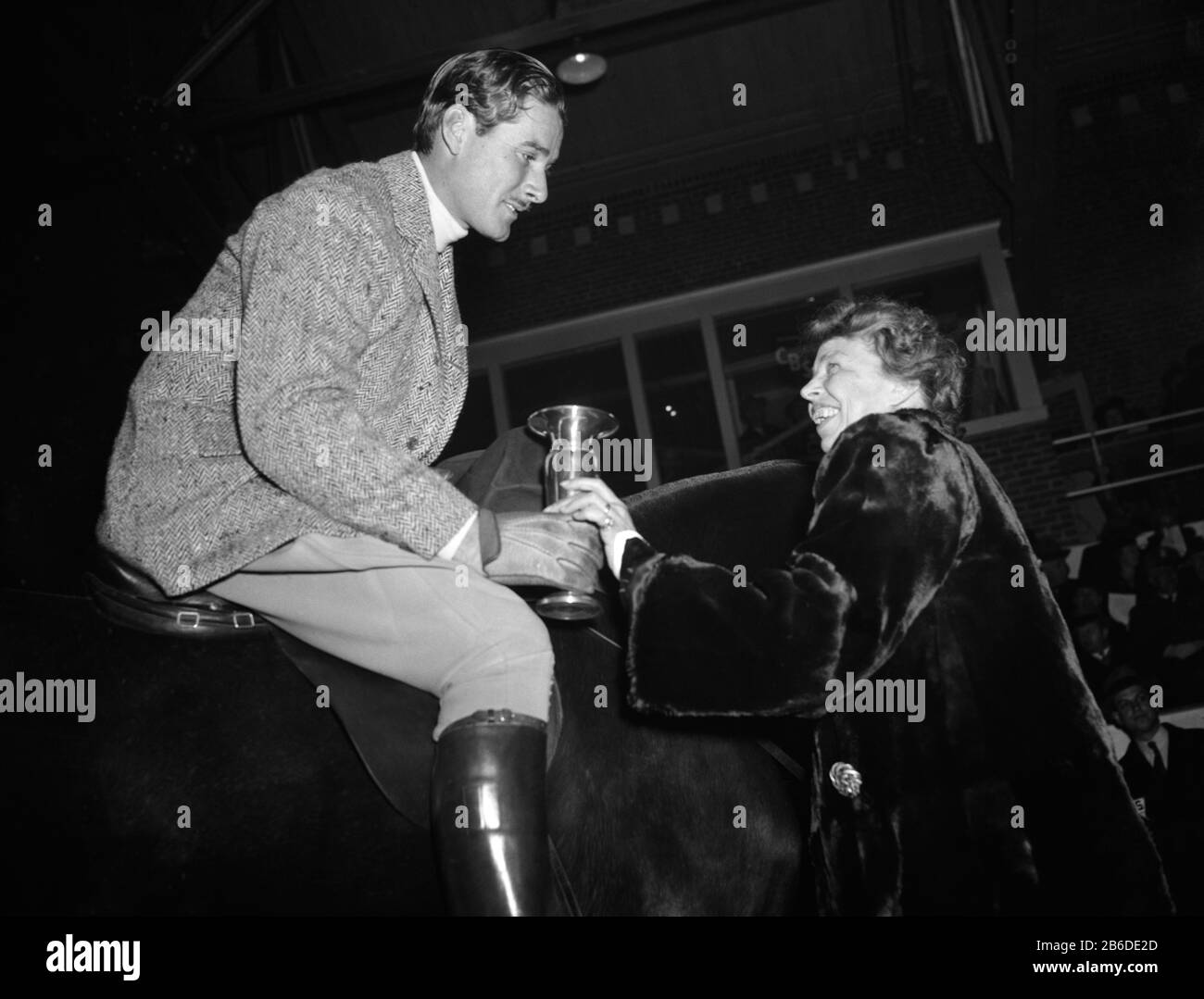 Vintage-Foto von Filmstar Errol Flynn (zwischen den Jahren von 1907 und 1959) und der US First Lady Eleanor Roosevelt (zwischen den Jahren von 1984 und 1962). Flynn wird auf einem Pferd des Weißen Hauses namens Badger abgebildet, während er im Rahmen der Geburtstagsfeierlichkeiten für Präsident Franklin D Roosevelt auf einem Hufeisen in Fort Myer, Virginia, verliehen wird. Foto von Harris & Ewing aufgenommen am 25. Januar 1939. Stockfoto
