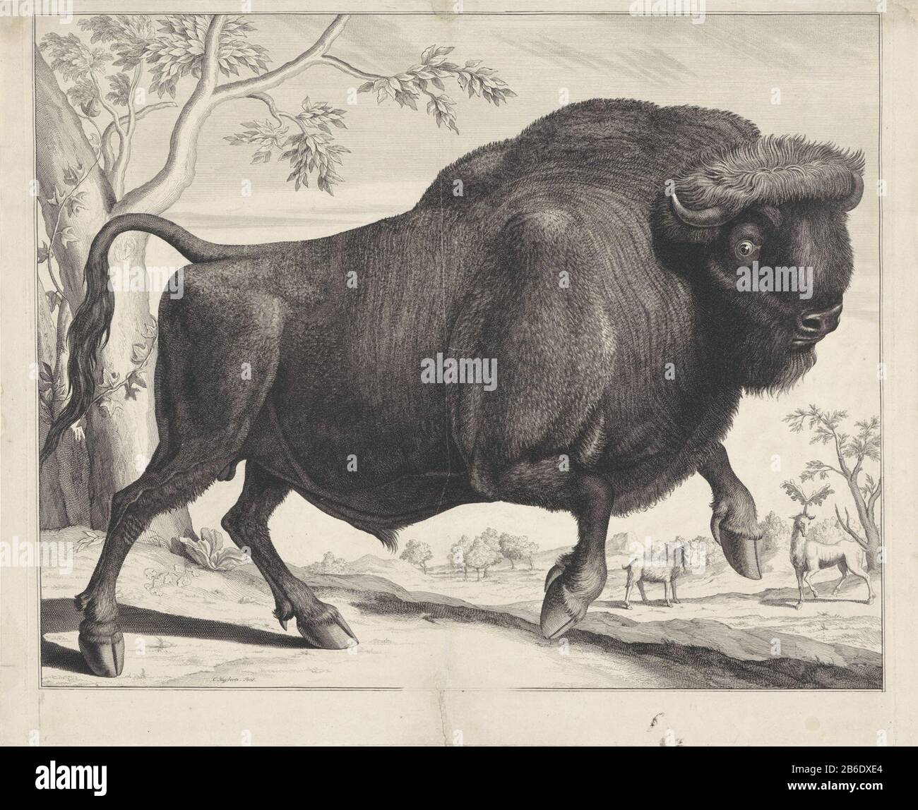 Bizon EIN Bison in einer Landschaft. Rechts stehen zwei Fabelwesen, wobei eines mit Geweih auf einem hoorn steht. Hersteller : Druckerhersteller Cornelis Huyberts (Listed Property) Ort Herstellung: Amsterdam Datum: 1689 - 1712 Physikalische Merkmale: Ätzung und Engras; Druck in Braun und Schwarz; Bürste in Farbmaterial: Papiertechnik: Ätzung/Engras (Druckverfahren) Messungen: Plattenkante: H 453 mm × W 528 mm Betreff: Hoogefütterte Tiere: Bison fabelhafte Tiere  hoogefütterte Tiere Stockfoto