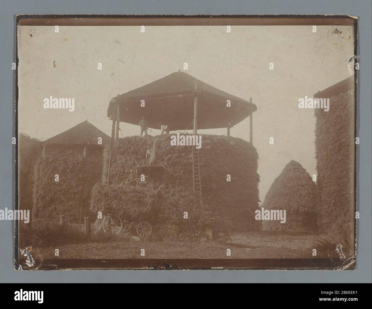 Bauern, die Heu in einem Heuhaufen Laden Bauern, die Heu in einem Heuhaufen laden Objektart: Bild Artikelnummer: RP-F20818 Hersteller: Fotograf: Anonymer Ort Herstellung: Niederlande Datum: CA. - ca. Material von 1910: Papiertechnik: Helles Papier Druckabmessungen: Foto: H 89 mm × W 119 mm Betreff: Heustapel  Ernte Bauern Stockfoto