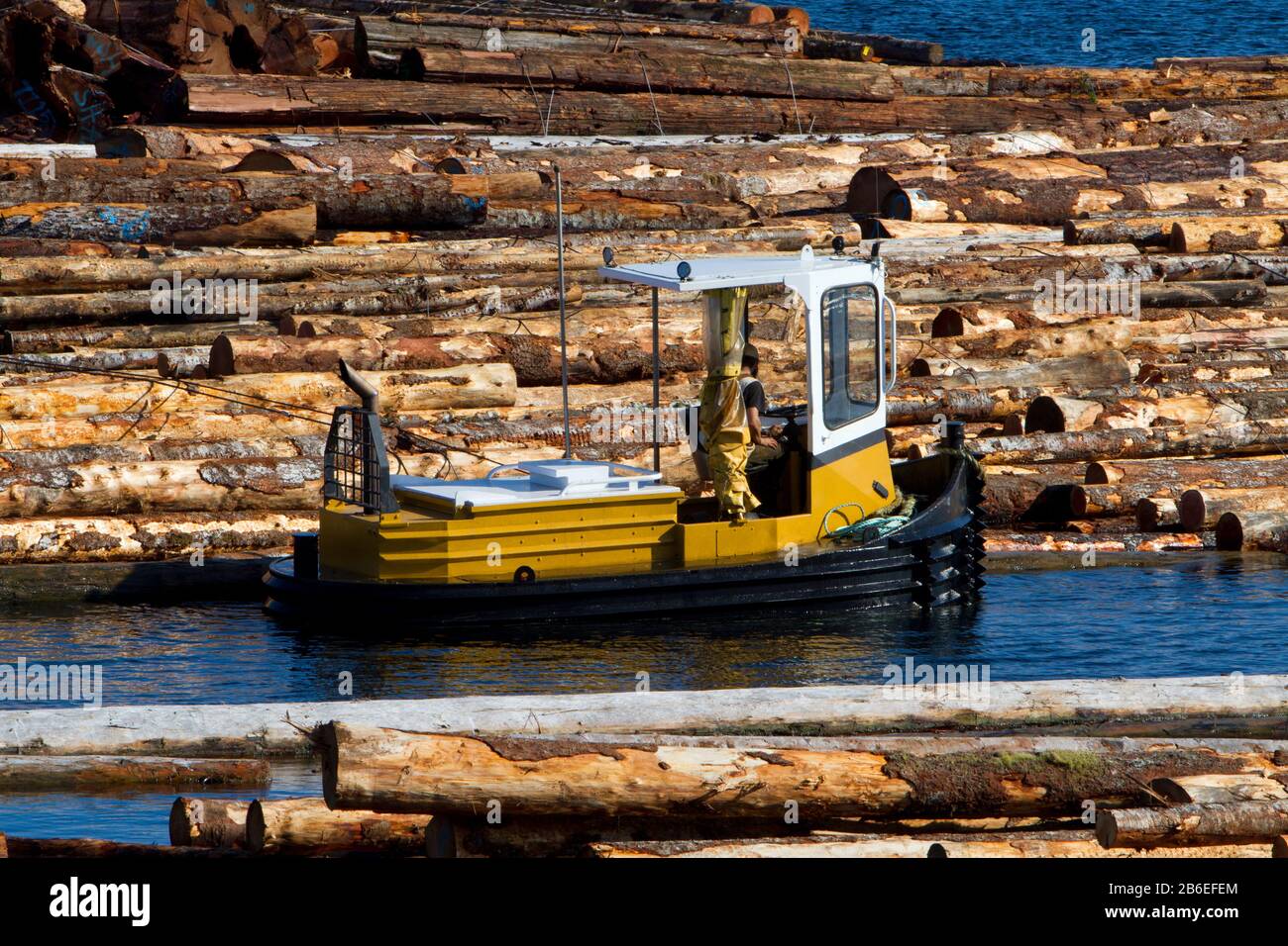 Boomboot mit Blockbooms in der Nähe von Harmac Pacific Pulp Mill, Nanaimo, Vancouver Island, BC, Kanada Stockfoto