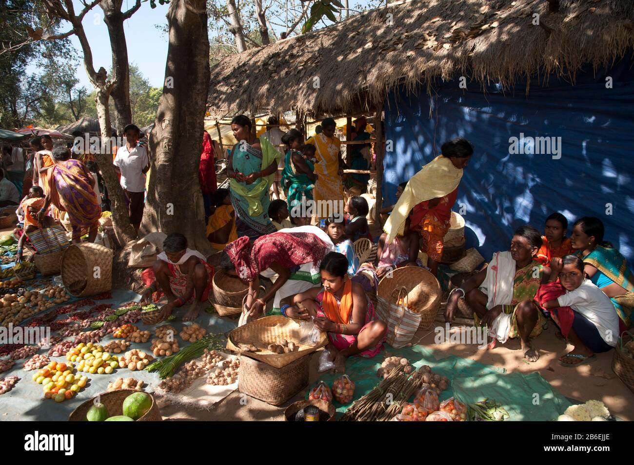 Einheimische Frauen verkaufen Gemüse auf dem Wochenmarkt, Chhattisgarh, Indien Stockfoto