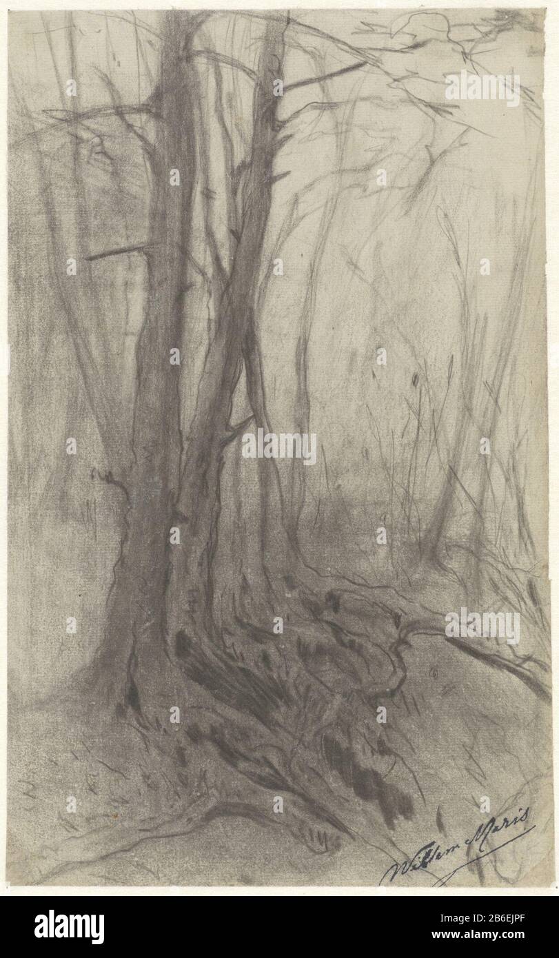 Bäume in einem Wald in einem bos-Objekttyp: Zeichnung Objektnummer: RP-T-1954-136 (R) Hersteller Schöpfer: Künstler: William Mari Datum: 308 - 1910 Physische Merkmale: Schwarzes Kreidematerial: Papierkreidemaße: H 308 mm × W 190 mm Betreff: Baumwald, Holzbeschaffung und Legal Stockfoto