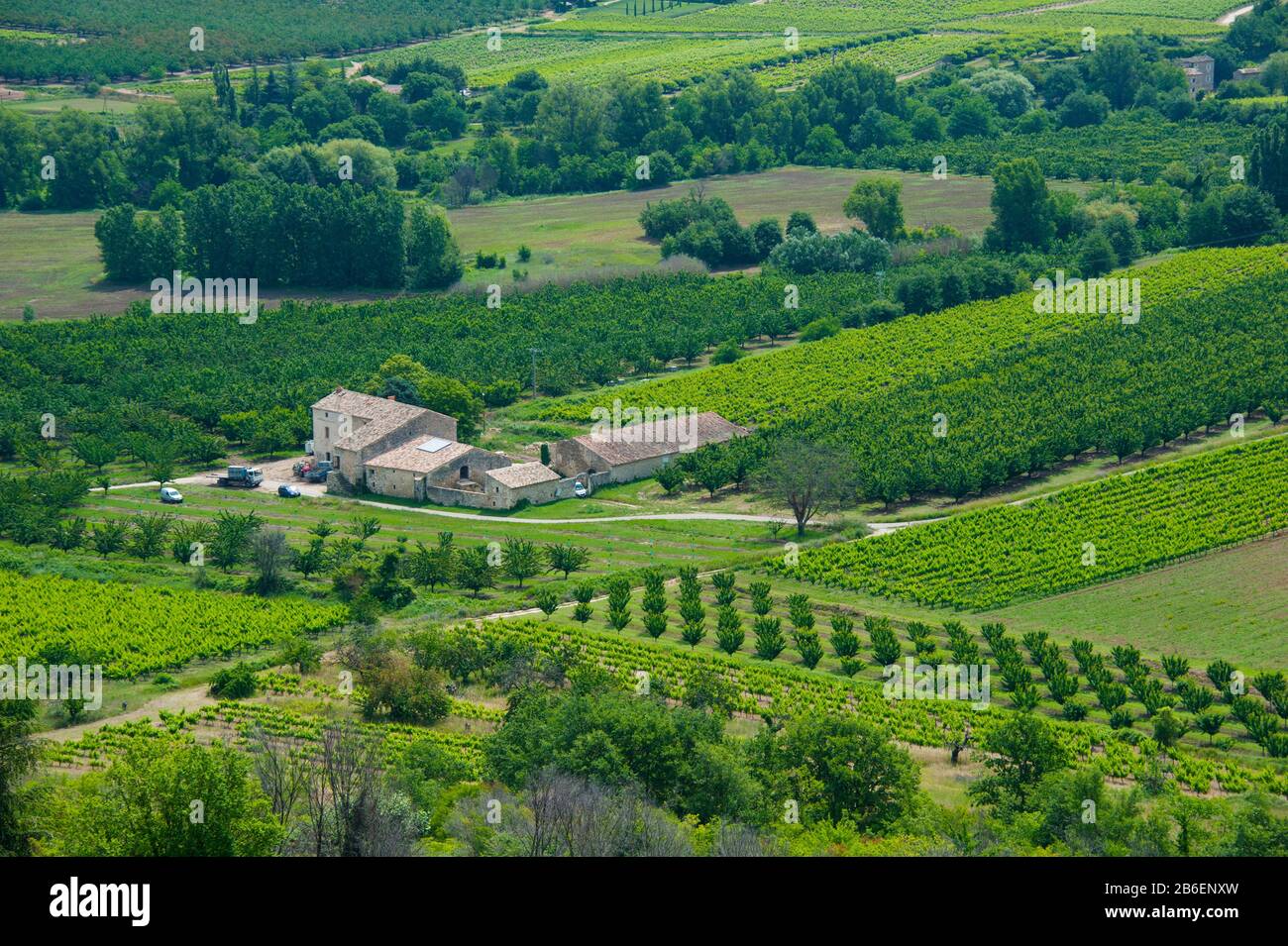 Bauernhaus auf einem Feld, Lacoste, Vaucluse, Provence-Alpen-Cote d'Azur, Frankreich Stockfoto