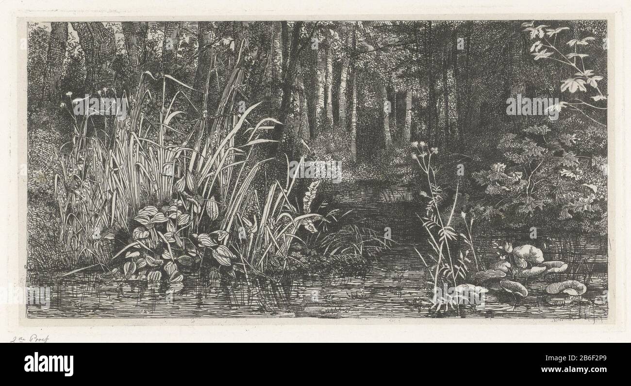 Withoekse ein Bach fließt durch einen dicken Wald. An den Ufern wachsen viele Wasserplanten. Hersteller: Druckmaschine: Jacobus Ludovicus Cornet zur Gestaltung: Jacobus Ludovicus Cornet Herstellung: Leiden Datum: 1830-1882 Physische Merkmale: Radierung; Proofing Material: Papiertechnik: Ätzmaße: Plattenkante: H 162 mm × W 307 mm Betreff: Laubwaldbrook Stockfoto
