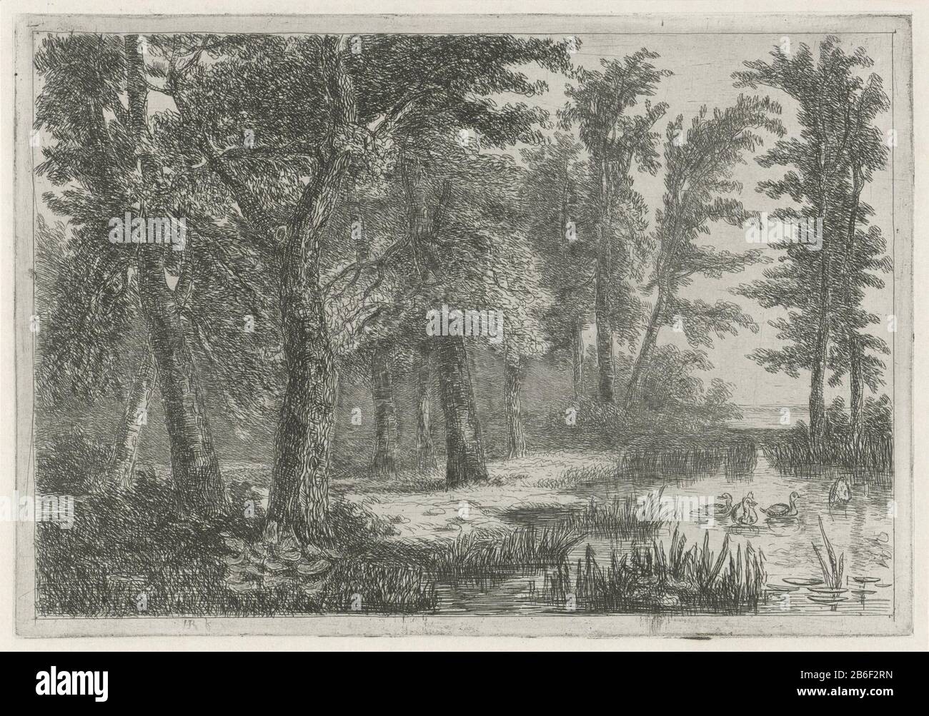 Waldszene mit Enten Waldszene mit einem kleinen See mit Enten Objektart: Bild Artikelnummer: RP-P-1893-A-18059Catalogusreferentie: Hippert & Linnig 44-2 (2) Markierungen / Marken: Sammlermarke, verso, gestempelt: Lugt 2228 Hersteller: Druckerhersteller: Hermanus Jan Hendrik von Rijkelkijhuen Herstellungsdatum: Ort: Herstellungsdatum: Indiziert 1823 - 1883 Physikalische Merkmale: Ätzung und Trockenpunkt an der Schinenkollé Material: Papierkochenkollé Technik: Ätzmaße: Plattenkante: H 144 mm × W 207 mm Betreff: Wasservögel: Duckfen, du. "Ven'Wald, Holzbeschaffung und Recht Stockfoto