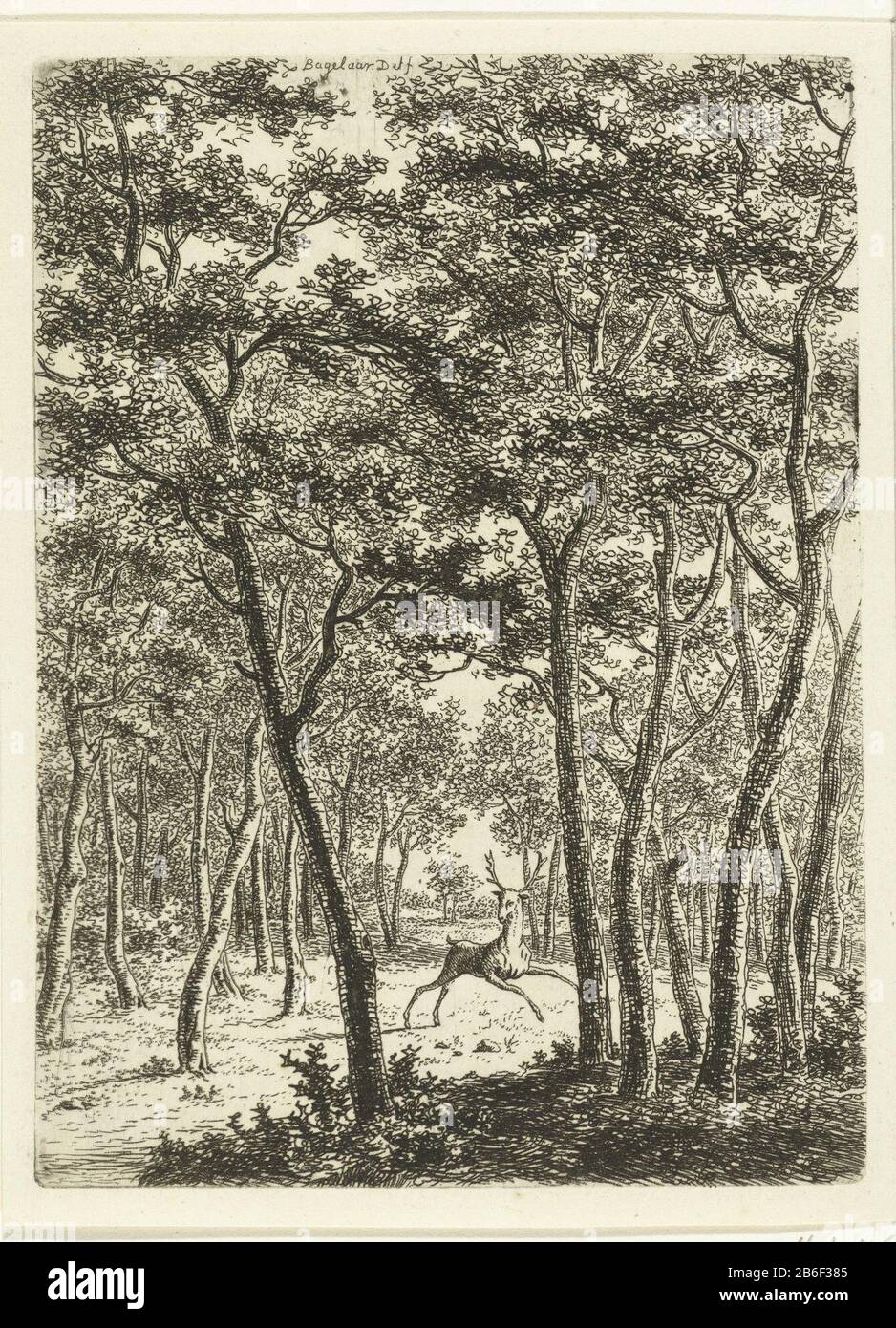 Waldlandschaft mit Hirschen Bewaldete Landschaft mit Hirsch-Objekttyp: Bild Artikelnummer: RP-P-BI 354Katalogusreferentie: Hippert & Linnig 116-1 (2) Markierungen / Marken: Sammlermarke, Verso-Zentrum, gestempelt: Lugt 2228 Hersteller : Druckerhersteller Ernst Willem Jan Bagelaar ( Objektliste) zur Zeichnung: Ernst Willem Jan Bagelaar (Listed Property) Ort Herstellung: Niederlande Datum: 1780-397 Physikalische Merkmale: Ätzmaterial: Papiertechnik: Ätzmaße: Plattenkante: H 140 mm × W 103 mm Betreff: Hoogefütterte Tiere: Hirsch Stockfoto