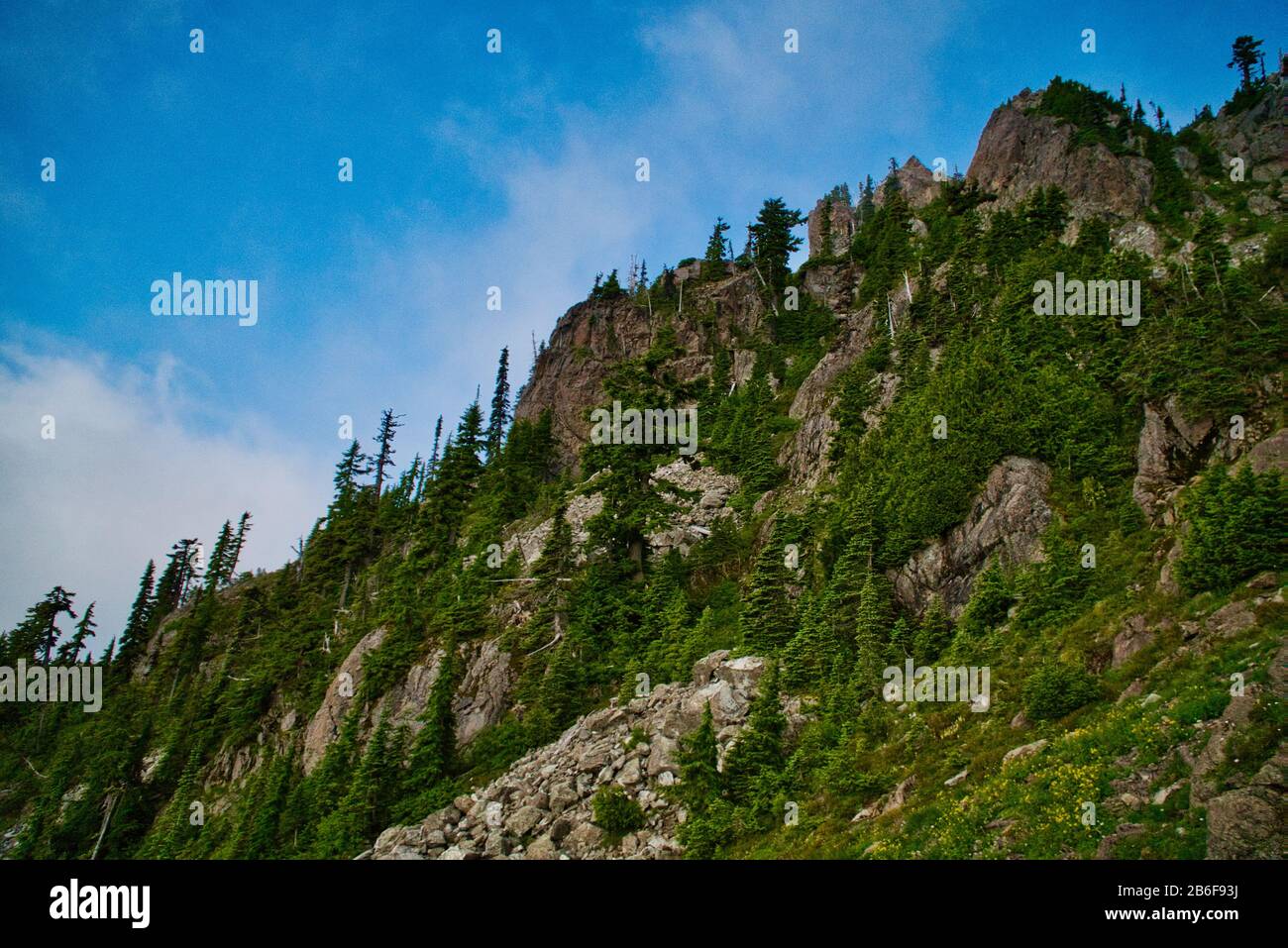 Mt. Ellinor im Staat Washington Stockfoto