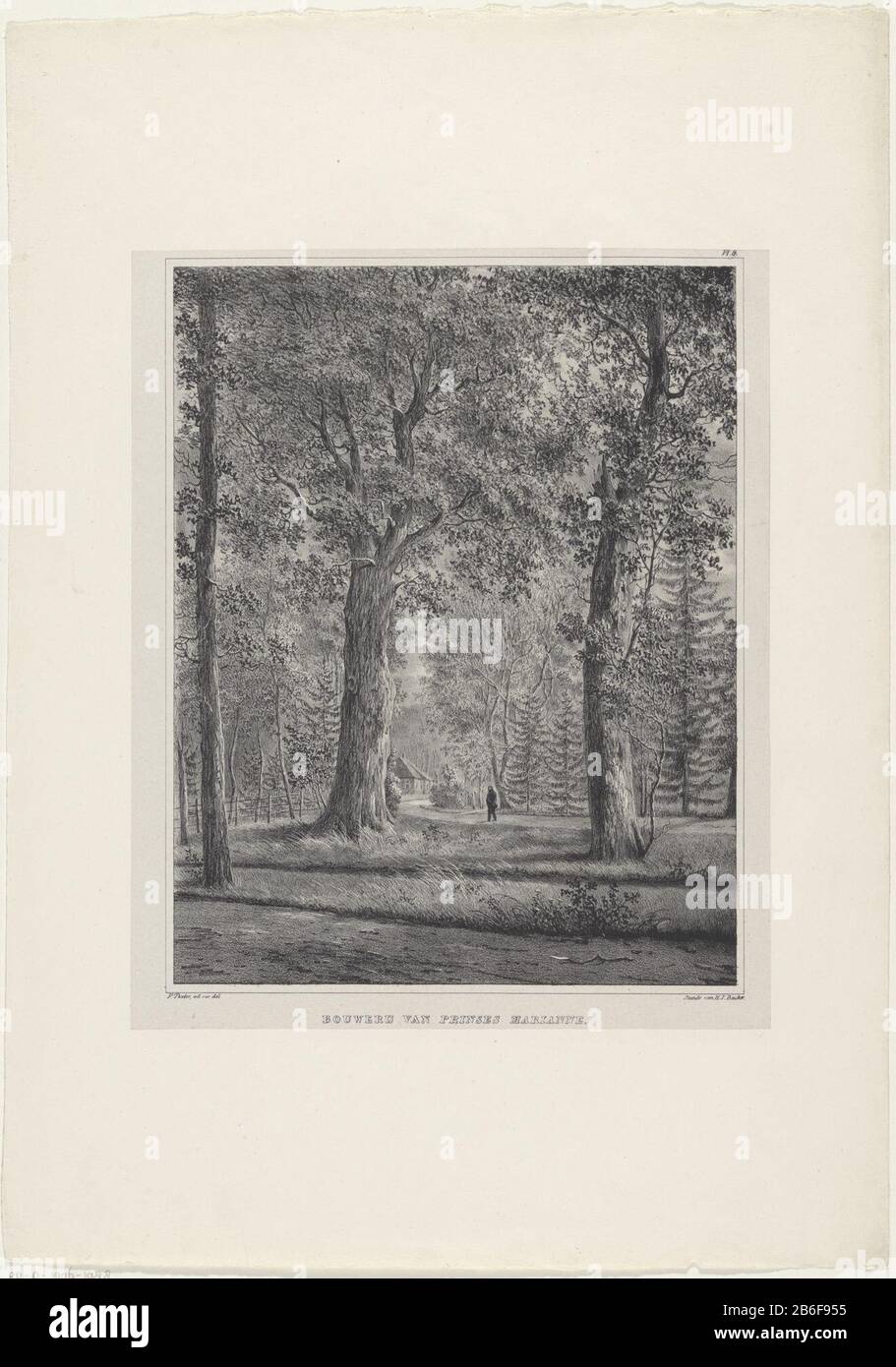 Bouwerij von Prinzessin Mariannes (Titelobjekt) Zwölf Gesichter im Park Loo (Serientitel), die in der Park-Loo-Reihe (Serientitel) In einem dichten Wald eine Figur hat. Zwischen den Bäumen ein Zaun und ein Bauernhof sichtbar. Oben rechts nummeriert: PL. 9. Hersteller: Druckmaschine: Anonymer Drucker: Hilmar Johannes Backer (denkmalgeschütztes Gebäude), entworfen von Frederik August Maximilian Textor (denkmalgeschütztes Gebäude), gewidmet Jean Charles Earl of Bylandtprentverkoper B. Gunning City Fertigung: Drucker: Dordrecht Gewidmet den Haag Print Verkäufer: Apeldoorn Datum: 18-218218-225-267 Physische Eigenschaften: Lithograp Stockfoto