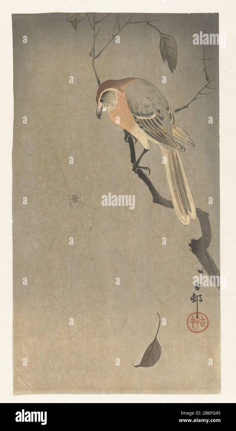 Bullenwürger und Spin-Bullen-Würger auf Ast, links, mit Blick auf das Spinnennetz. Unten Rechts eine fallende Blad. Hersteller: Druckmaschine: OHara Koson (auf dem Objekt angegeben) Herausgeber: Matsuki HeikichiPlaats Herstellung: Druckmaschine: Japan Herausgeber: Tokio Datum: 1900 - 1930 Physikalische Eigenschaften: Farbholzblock; Strichblock in Schwarz mit Farbstoffblöcken: Papiertechnik: Farbholzblockabmessungen: Bild: H 340 mm × W 185 mm Stockfoto