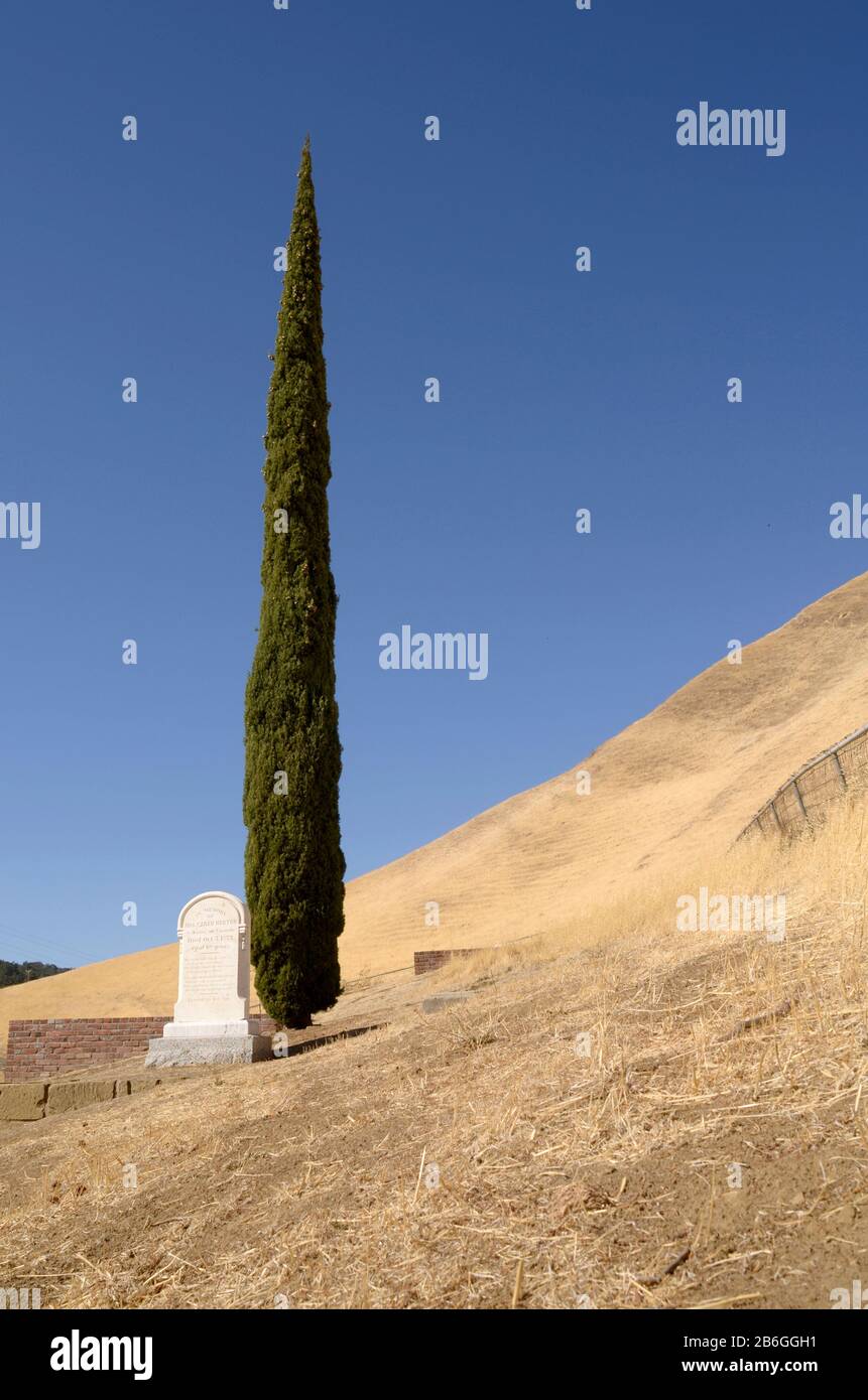 Kopfstein von Sarah Norton auf dem Rose Hill Cemetery, Black Diamond Mines, Nortonville, East Bay Regional Park, Antioch, Kalifornien, USA Stockfoto