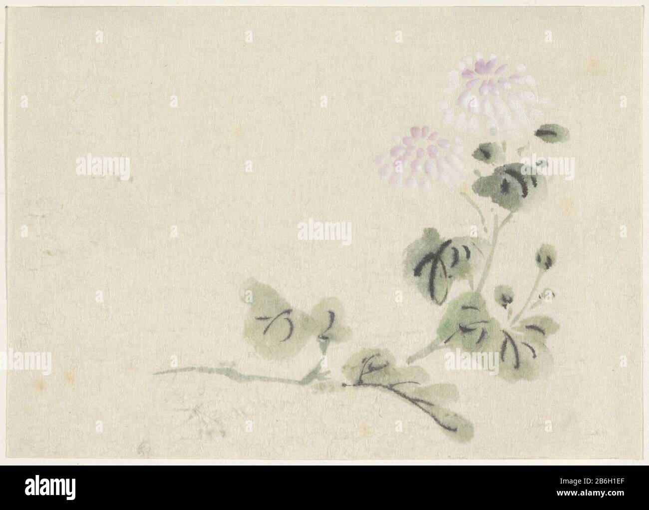 Chrysanthemums Chrysanthemums Objekttyp: Zeichnung Aquarell Objektnummer: RP-T-1948-182 Hersteller: Zeichner: Utagawa Kuniyoshi dating: 1808-1861 Physikalische Merkmale: Bürste in Farben, weißes Dekverf-Material: Papierveredelungsfarbe Aquarelltechnik: Bürstenmaße: H 117 mm × b 165 mm Stockfoto