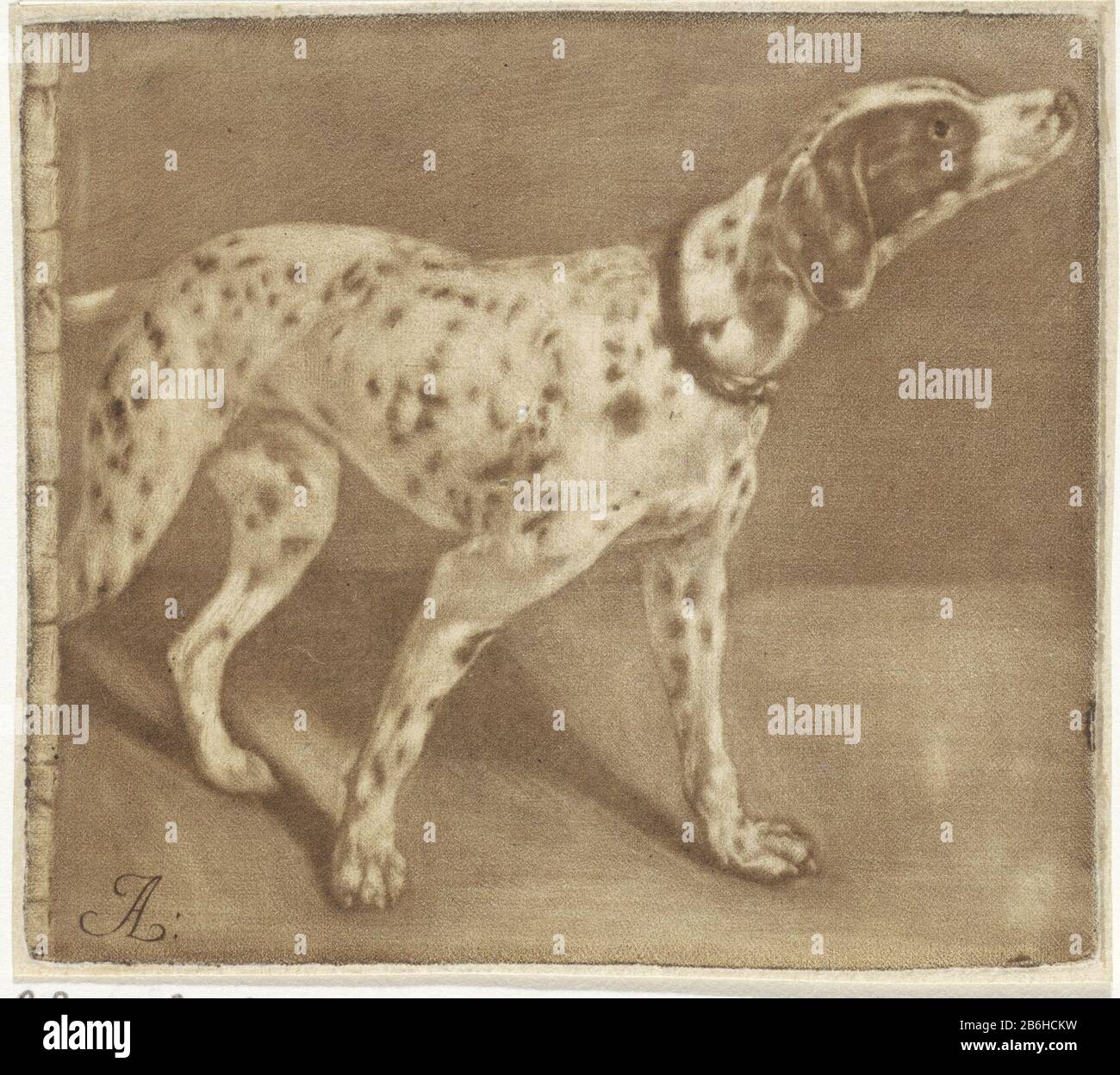 Dalmatiner Objektart: Bild Artikelnummer: RP-P-ob-17.608Katalogisreferentie: Würzbach 11 Hersteller: Druckerhersteller Pieter Anthony Wakkerdaknaar Design: Jan Asselijn (möglich) Ort Herstellung: Rotterdam Datum: 170-4 Physikalische Merkmale: Mezzotint, in Material gepresst: Papiertechnik: Mezzotint Abmessungen: 100 × mm Rand: B: 89 mm Breite: 100 mm Breite: 100 mm Breite: 100 mm Breite Stockfoto