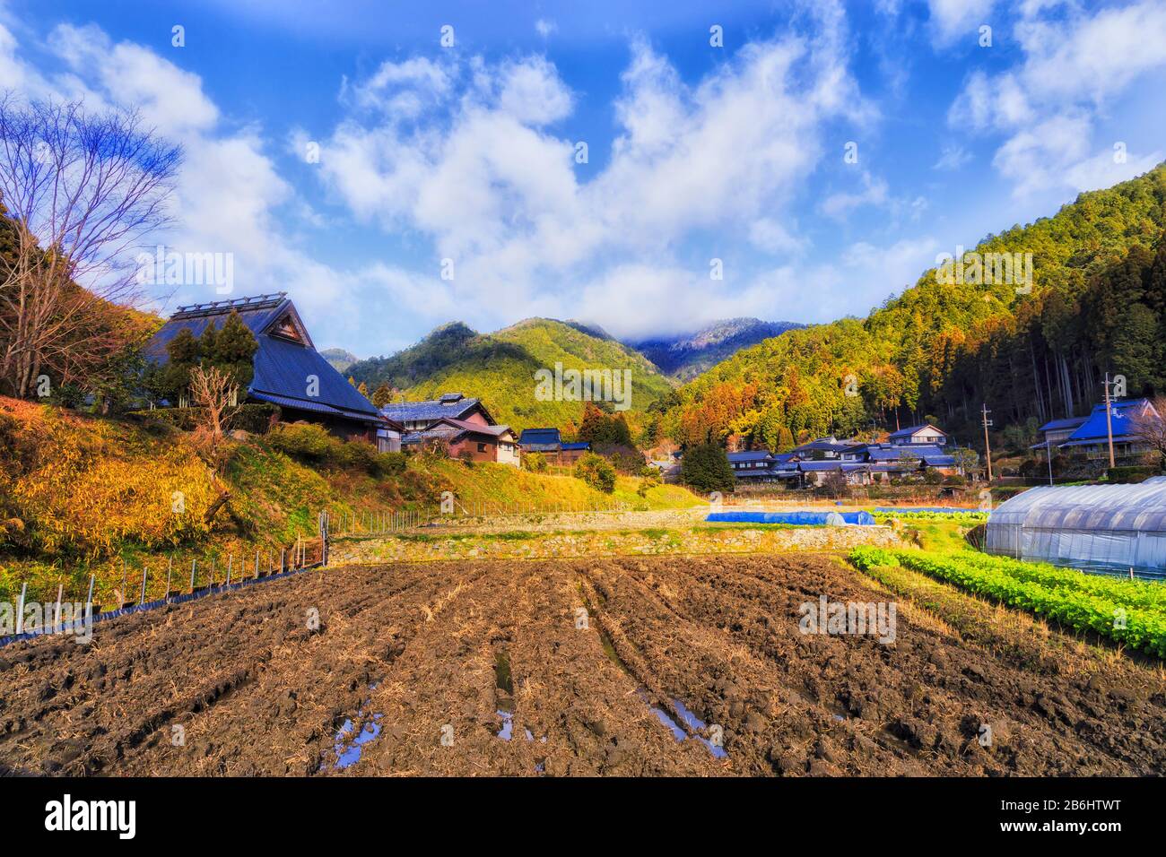 Nasse, schwarze Erde in abgelegenen japanischen Bösewichten in einem Tal um Kyoto. Sonniges Winterwetter, das Sonneneinstrahlung auf Bauernhäuser und Gewächshäuser wirft. Stockfoto
