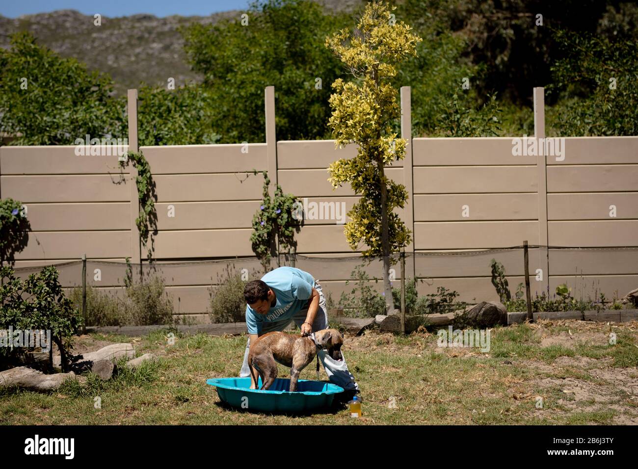 Freiwillige waschen eines Hundes in einer Hundeunterkunft Stockfoto