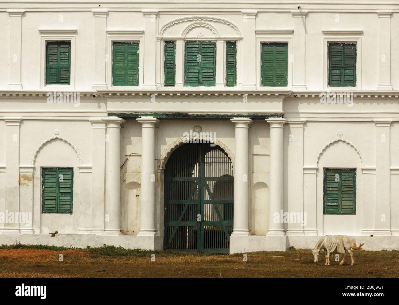 Murshidabad, Westbengalen/Indien - Januar 15 2018: Ein Pferd grast auf dem Gras der Gärten rund um den Nizamat Imambara. Stockfoto