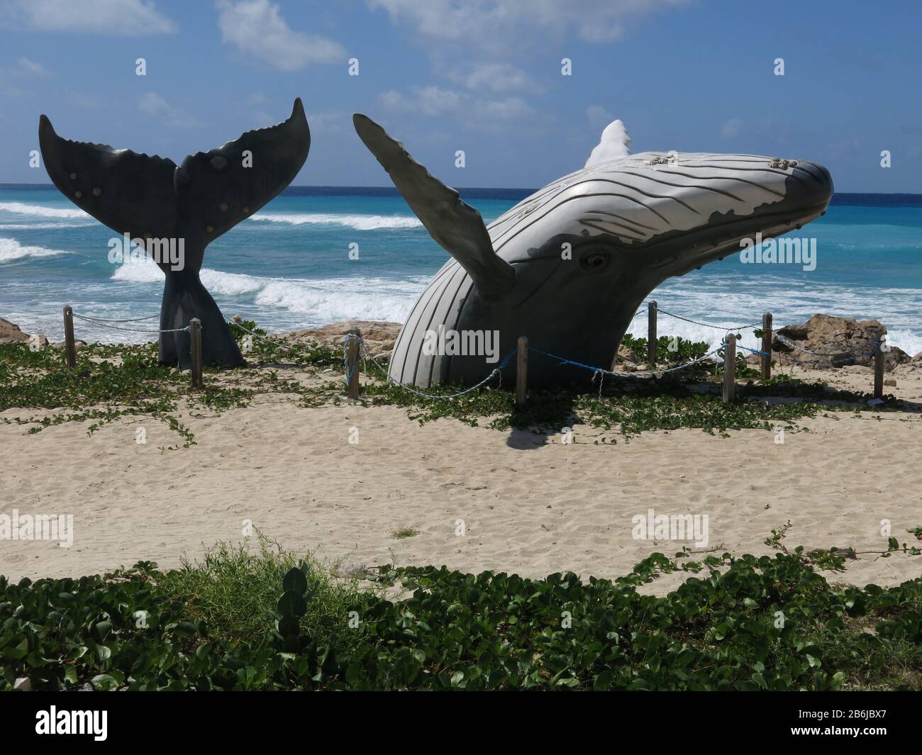 Wal, Grand Turk Stockfoto