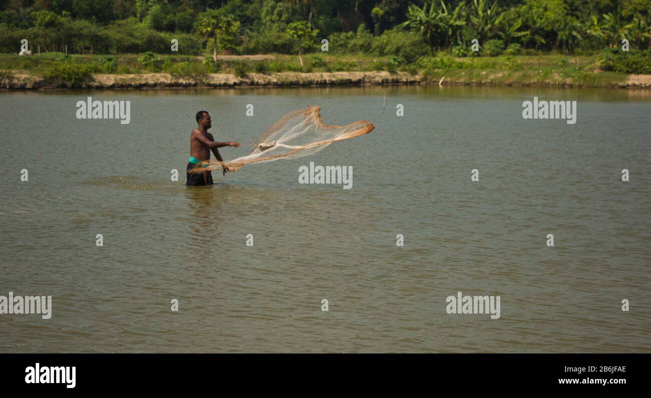Ein Mann fängt mit gegossenem Netz Fische aus seinem Teich. Fisch spielt eine wichtige Rolle bei der Ernährungssicherheit und der Bekämpfung des Klimawandels. Stockfoto
