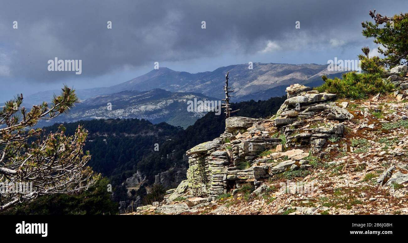 Thassos Island, Griechenland, Europa, auf 1204 Metern wird der Gipfel des Mount Ypsarion von Winden geschlagen und die Bäume sind betäubt, Thassos ist eine griechische Insel in der nördlichen ägaischen See, nahe der Küste von Thrakien. Es ist die nordgriechische Insel und die 12. Größte nach Fläche. Thassos ist auch der Name der größten Stadt der Insel, bekannt als Limenas, Hauptstadt der Stadt Thassos, die sich auf der nördlichen Seite gegenüber dem Festland befindet. Stockfoto