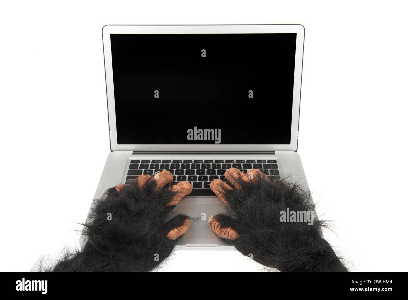 Haarige Bestien der Hände eines Internet-Trolls, der auf einem Laptop-Computer tippt, mit leerem Bildschirm auf weißem Hintergrund Stockfoto