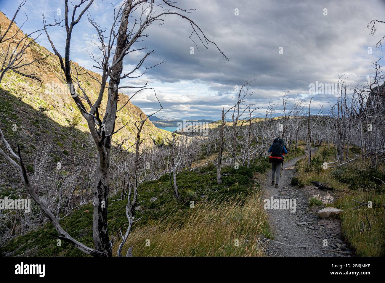 Waldbrand in den Türmen von paine chile Stockfoto