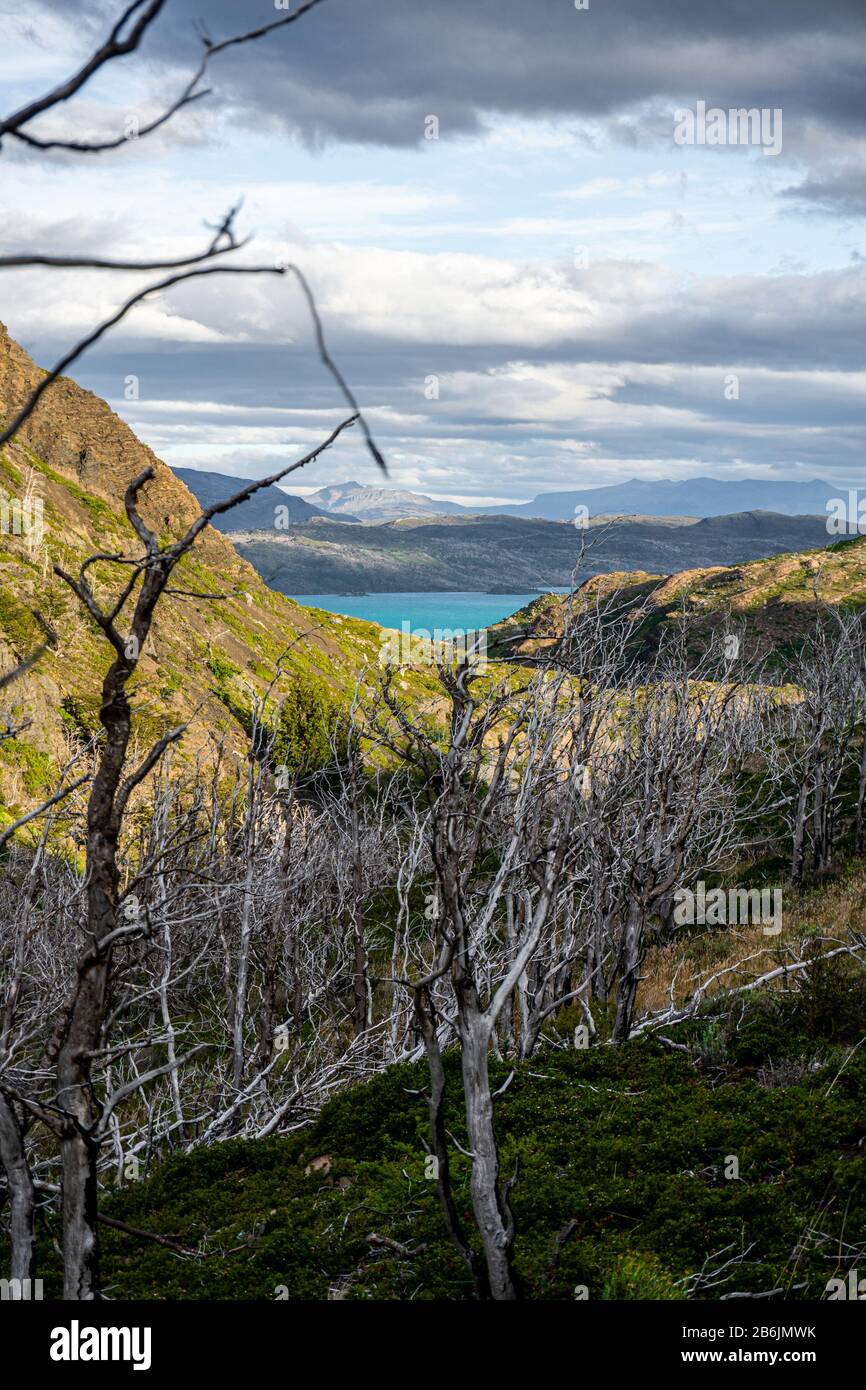 Waldbrand in den Türmen von paine chile Stockfoto