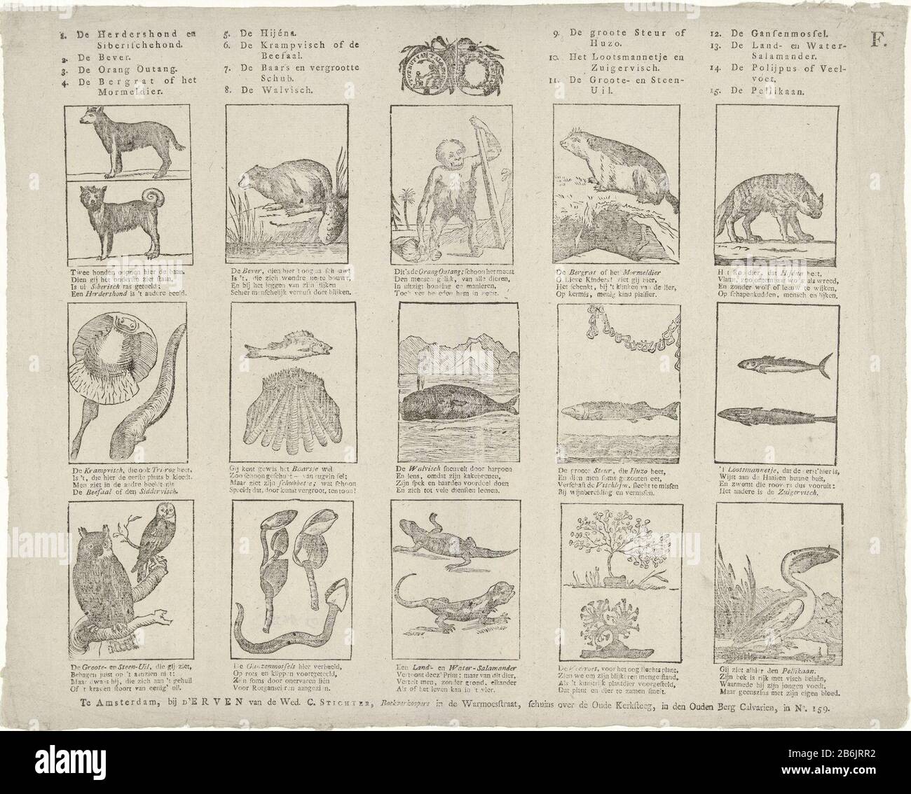 Tiere und Pflanzen Blatt mit 15 Darstellungen aller möglichen Tiere. Mit der Spitze des Siegels der Gesellschaft für Gemeinwohlfahrt. Unter jedem Bild eine vierzeilige Verse. Beachtetes Recht: F. Hersteller: Verleger: Inherit Witwe Cornelis Boss (denkmalgeschütztes Gebäude) Druckmaschine: Anonymer Ort Herstellung: Verlag: Amsterdam Druckautor: Niederlande Datum: 1780-188 Physische Merkmale: Holzschnitt mit Textdruckmaterial: Papiertechnik: Holzschnitt / Druckformate: Blatt: H 320 mm × W 400 mm Betreff: Tiere Pflanzen (im Allgemeinen) When: 1.750 - 1800wie: Gesellschaft für die Versorgungsbetriebe t General Stockfoto