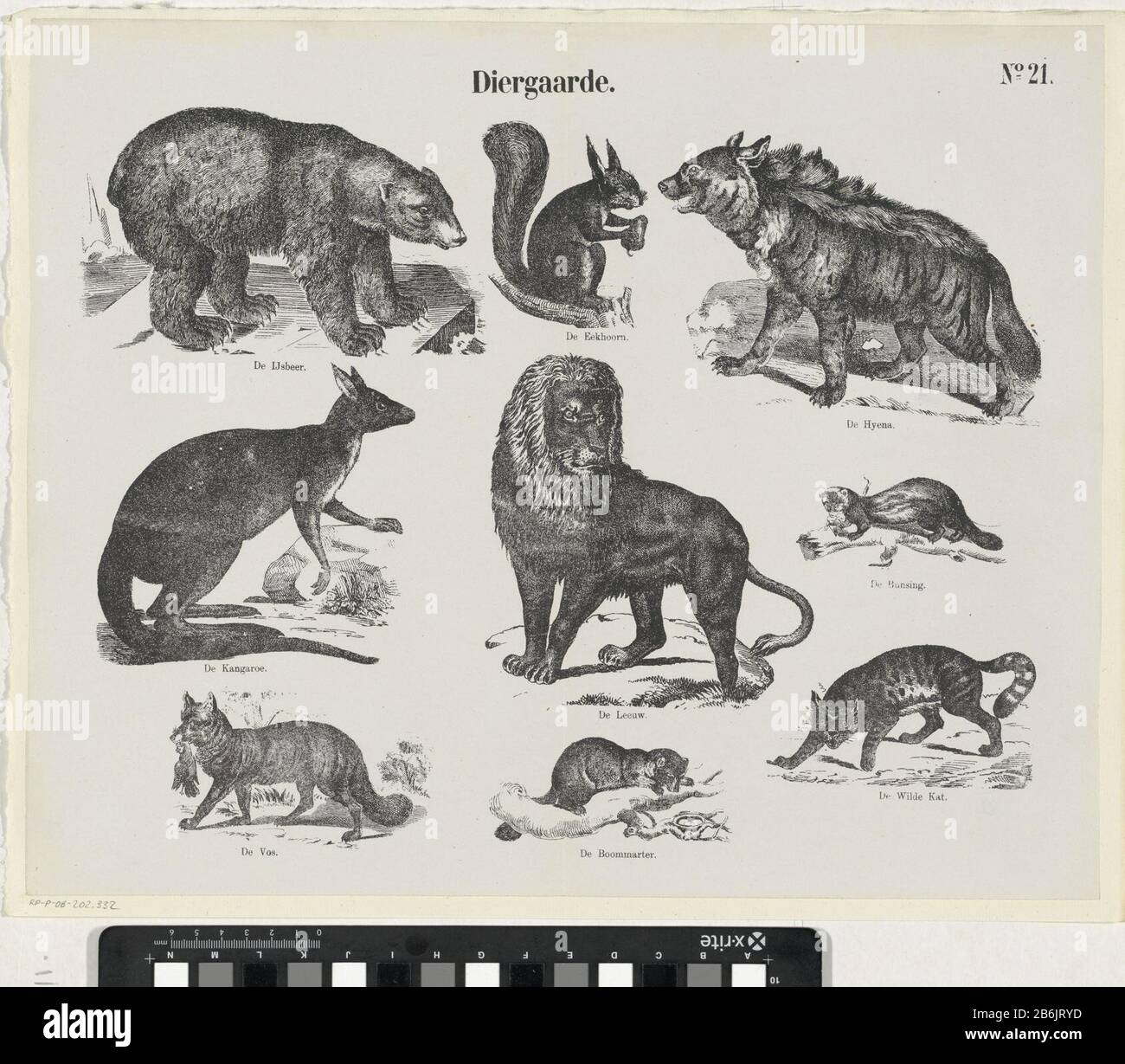 Diergaarde (Titelobjekt) Meijers Drucke (Serientitel) Blad traf 9 voorstellingen van dieren, Stockfoto