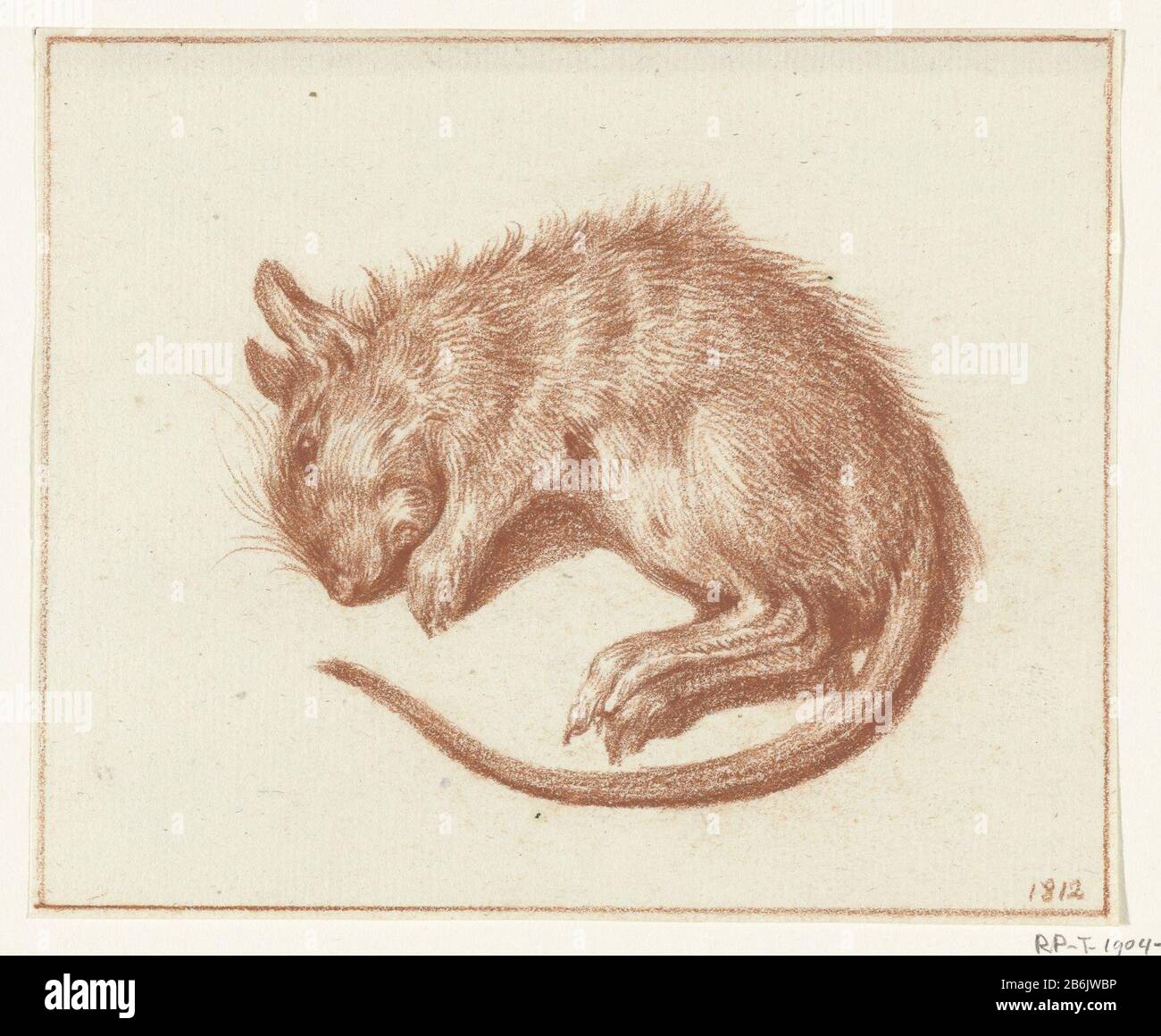 Dode Ratte Dead Ratt Objekttyp : Zeichnung Objektnummer: RP-T 1904-289X Hersteller: Künstler Jean Bernard Datum: 1812 Physische Merkmale: Rotes Kreidematerial: Kreidemaße: H 120 mm × W 145 mm Betreff: Nagetiere: Ratte Stockfoto