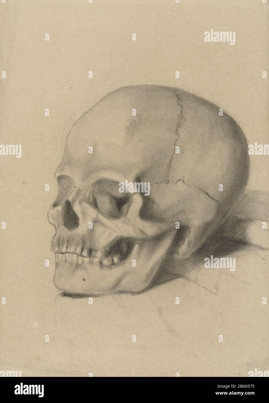 Totenkopf Doodshoofd Objektart: Zeichnung Objektnummer: RP-T-1948-600 Hersteller: Zeichner: George Henry Breitner Datum: 1867 - 1923 Physikalische Eigenschaften: Holzkohle Material: Holzkohle Abmessungen: H 336 mm × W 242 mm Betreff: (Menschlicher) Schädel ( Mensch) Schädel Stockfoto