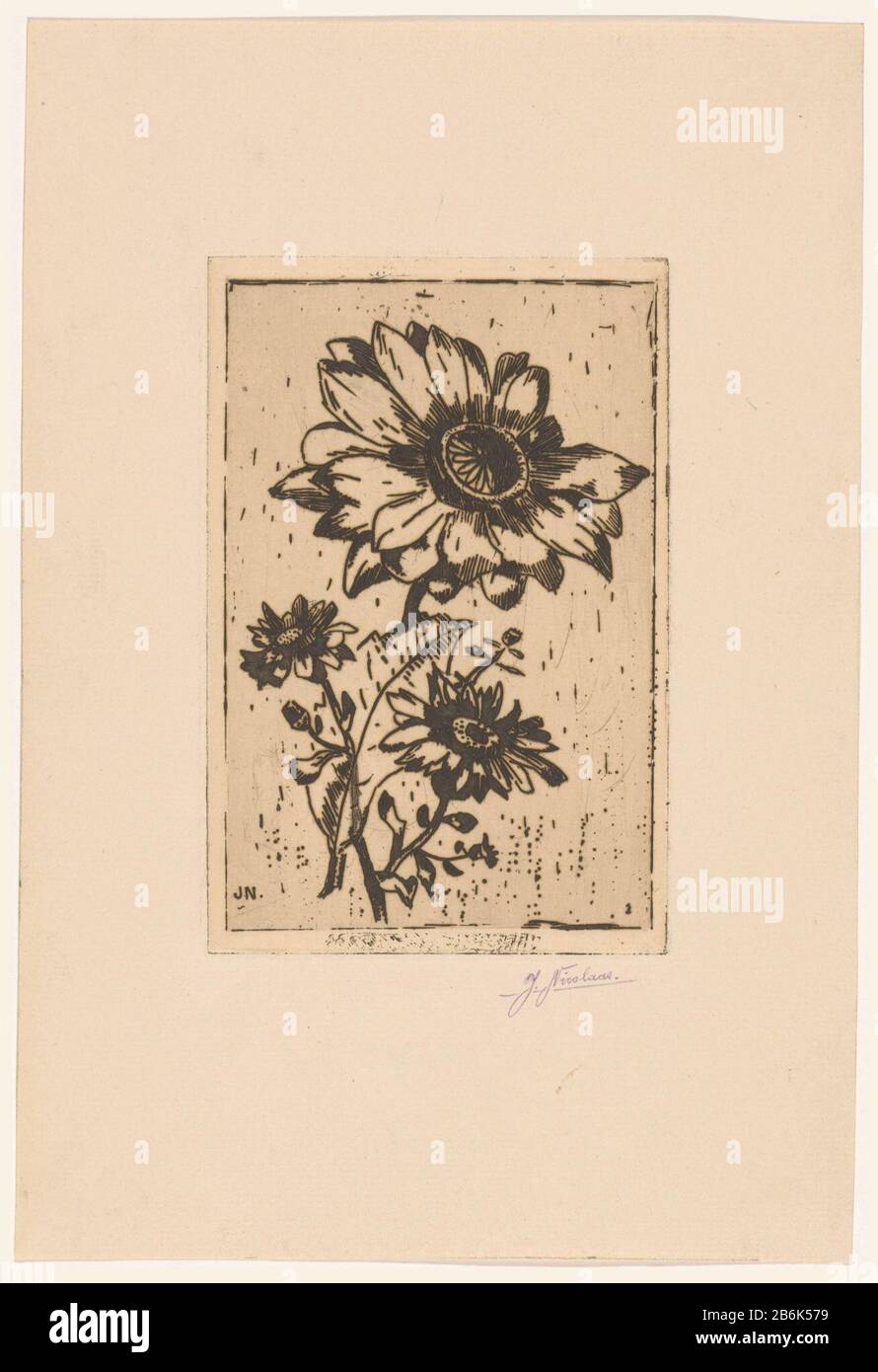 Drei Blumen Drei Blumen Objektart: Bild Artikelnummer: RP-P-1938-1954 Aufschriften / Marken: Sammlermarke, Verso, gestempelt: Lugt 2760 Hersteller: Druckmaschine John Nicholas (denkmalgeschütztes Gebäude) Datum: 1995-1938 Material: Papiertechnik: Ätzmaße: Plattenkante: H 150 mm × W 98 mm Betreff: Blumen und Stockfoto