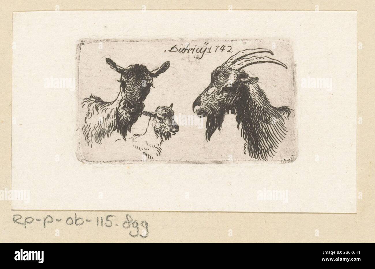 Drei Ziegen Drietwaren Objekttyp: Prent Objectnummer: RP-P-ob-115.899Katalogogusreferentie: Linck 173-1(3) Inscriptions / Merken: Sammlermarke, Verso, gestempelt: Lugt 240 Hersteller: Prenmacher: Christian Wilhelm Ernst Dietrich (vermeld op object)Plaats Herstellung: Dresden (motratelek): Abmessungen: Tellermasse: 1742: Tellermasse: Tellermasse: Tellermasse: 1742: H 35 mm × b 62 mm Betreff: Ziege Stockfoto
