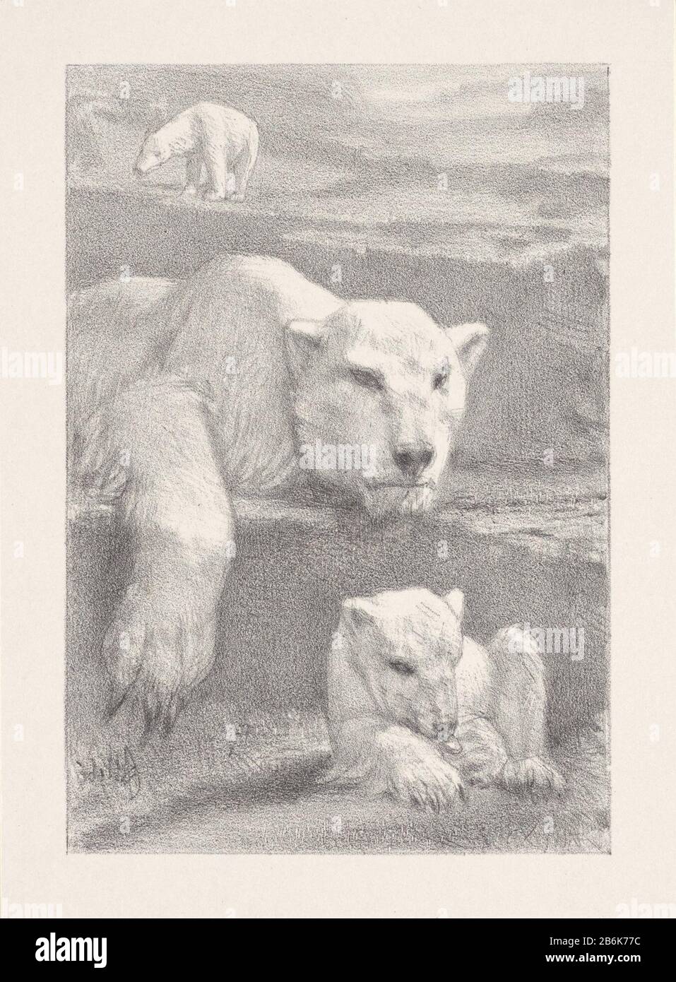 Drei Eisbären EIN junger Eisbär leckt seine Pfote. Auf einem Felsen, halb sichtbar, ein erwachsener Eisbär. Im Hintergrund steht ein drittes Ijsbeer. Hersteller : Druckmaschine: August Allebé (auf dem Objekt angegeben) Ort Herstellung: Amsterdam Datum: 1848 - 1927 Physikalische Eigenschaften: Chalk lithographisches Material: Papiertechnik: Chalk lithographisches Maß: Blatt: H 180 mm × W 134 mmToelichtingVolgens die Beschriftung auf dem Druck RP P-1944-906 hat Allebé Artis Amsterdam getekend. Betrifft: Raubtiere, Raubtiere: Eisbärenbeben von Beutetieren, Raubtiere: Bär (+ Fütterung und Pflege von y Stockfoto