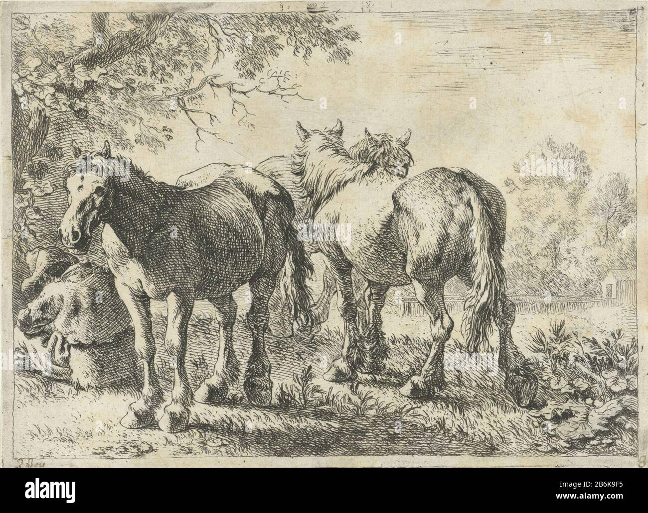 Drei Pferde und ein Bauer Verschiedene Tiere (Serientitel) Drei Pferde und ein Bauer verschiedene Tiere (Serientitel) Immobilientyp: Abbildung Artikelnummer: RP-PHR 68Catalogusreferentie: Hollstein Hollstein Dutch 2-1 (2) Markierungen / Marken: Sammlermarke, Verso, gestempelt: Lugt 10 Sammlermarke, Verso, gestempelt: Lugt 11numer, zu Handschrift, in Braun: Tinte: Tinte: Tinte: Farbe: Farbe: Farbe: Farbe: Farbe '8'opschrift, recto, handschriftlich in brauner Tinte: 'B-Bois' Beschreibung (): Drei Pferde auf einer Wiese, ein Bauer bleibt auf dem Boden. Der Druck ist Teil einer achtteiligen Reihe von Darstellungen verschiedener dieren. Hersteller: Druckmaschine: Pieter Stockfoto