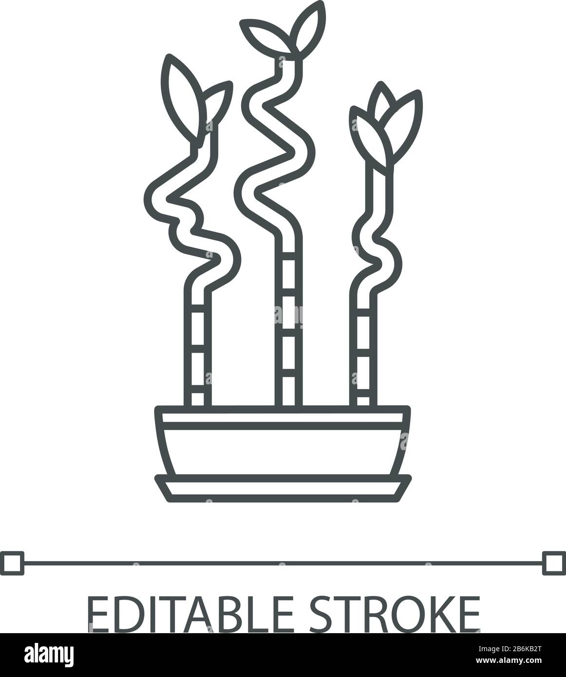 Lucky Bamboo Stiele in Pot Pixel perfekte lineare Ikone. Dracaena sanderyana. Feng Shui Houseplant. Anpassbare Abbildung mit dünner Linie. Kontursymbol Stock Vektor