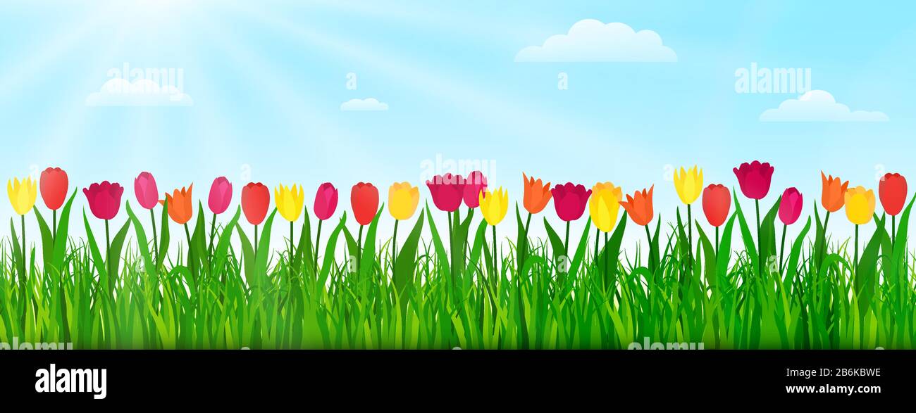 Frühlingslandschaft mit bunten Tulpen, grünem Gras und blauem Himmel. Vektorgrafiken Stock Vektor