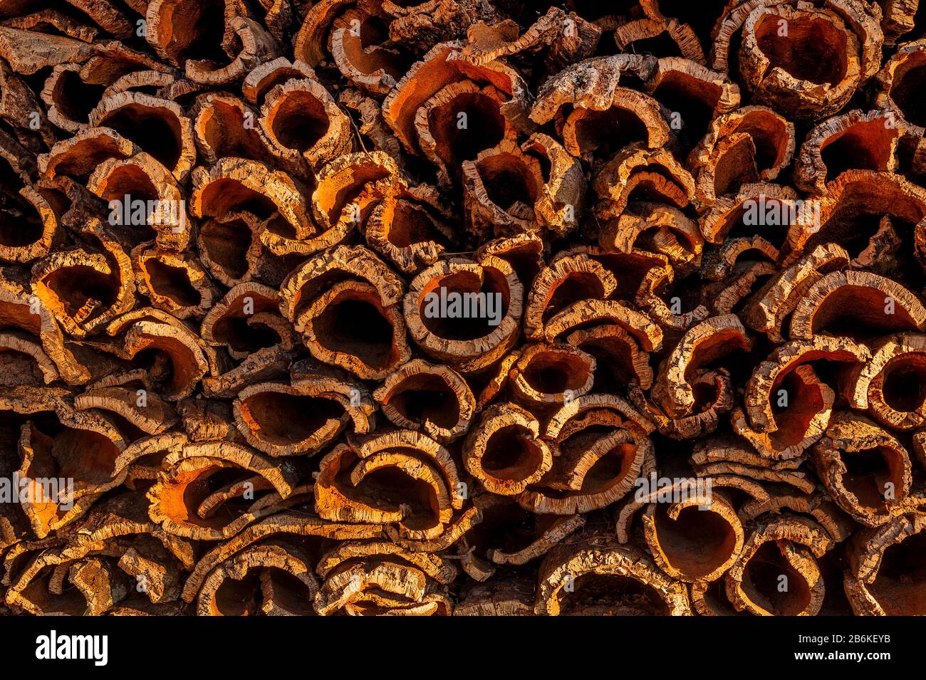 Korkeiche (Quercus suber), gestapelte Korkrinde, Portugal, Algarve, Monchique Stockfoto