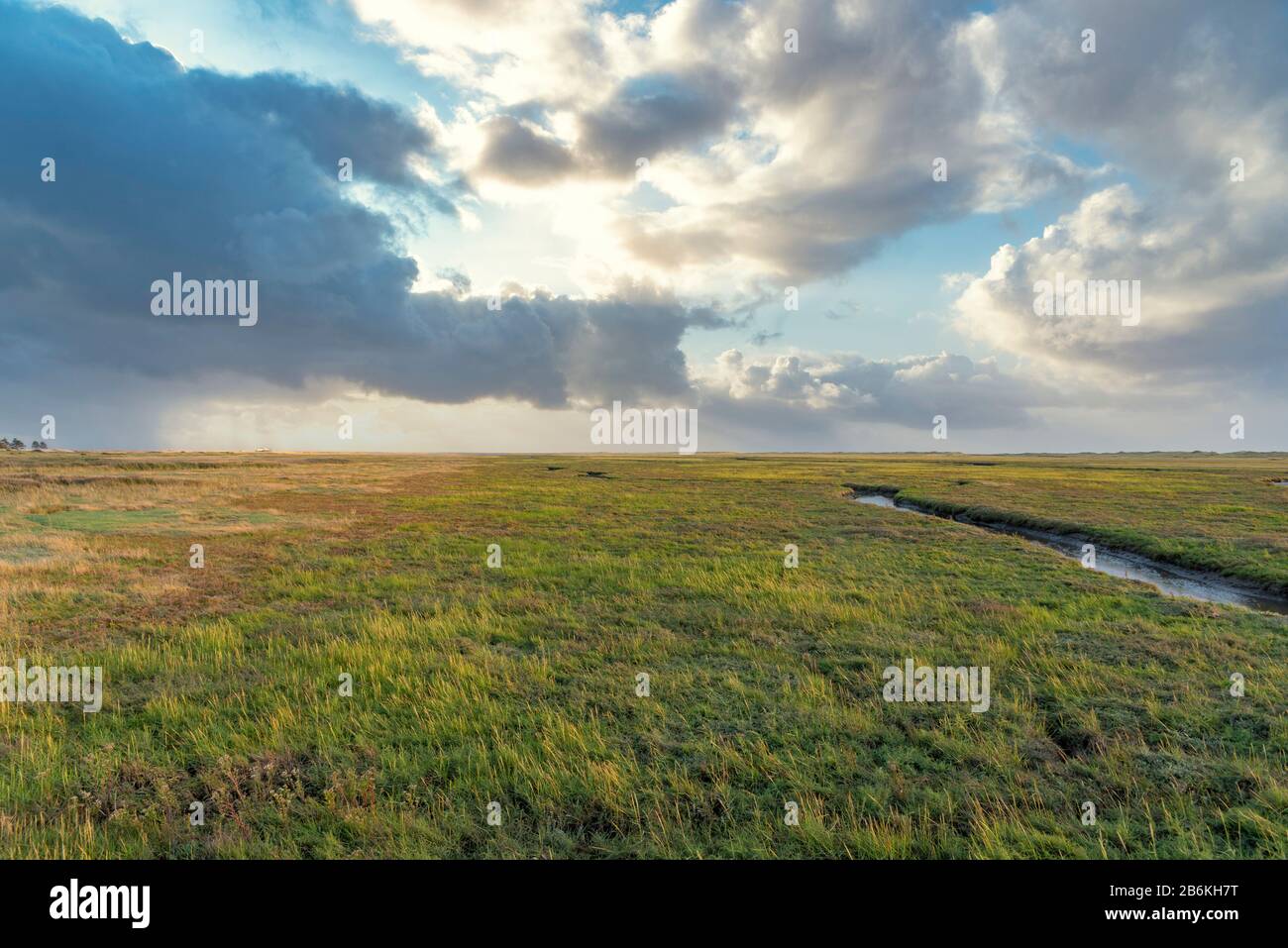 Landschaft mit Salzwiesen, Sankt Peter-Ording, Nordsee, Schleswig-Holstein, Deutschland, Europa Stockfoto