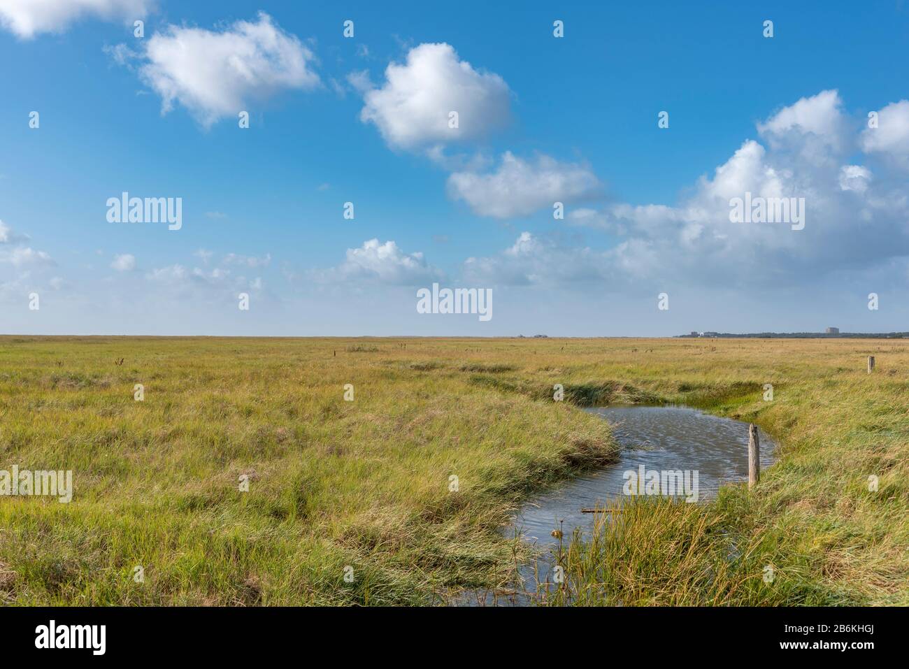 Landschaft mit Salzwiesen, Sankt Peter-Ording, Nordsee, Schleswig-Holstein, Deutschland, Europa Stockfoto