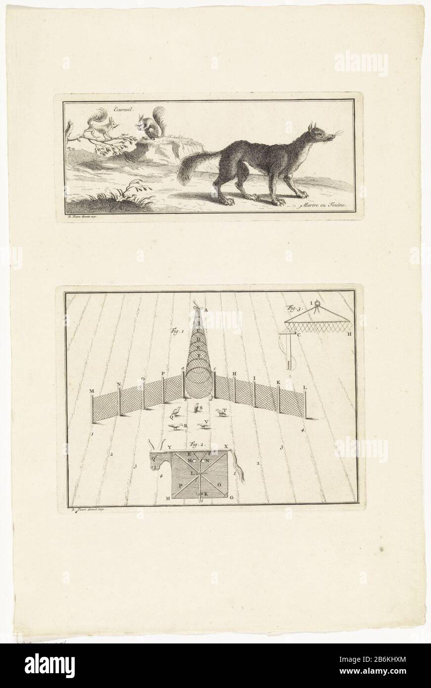 Eichhörnchen, Sable und Vogelfuik Zwei Vorstellungen auf einem Blatt. Oben: Zwei Eichhörnchen und Marten oder Wiesel. Unten: Fuik zu Vogelvangen. Hersteller : Druckmaschine: Bernard Picart (Studio) Überwachung: Bernard Picart (Listed Property) Herstellung: Amsterdam Datum: 1730 Physische Merkmale: Radierung; unbeschnittenes Blattmaterial: Papiertechnik: Ätzmaße: Plattenkante: H 78 mm (oberes Bild) × W 188 mm (oberes Bild.) × H 138 mm (Unteres Bild.) × W 188 mm (Unteres Bild.) Oberfläche: H 381 mm × W 250 mm Erklärungsdrucke für: Chomel, Noel. Dictionnaire oeconomique, contenant divers moïens Stockfoto