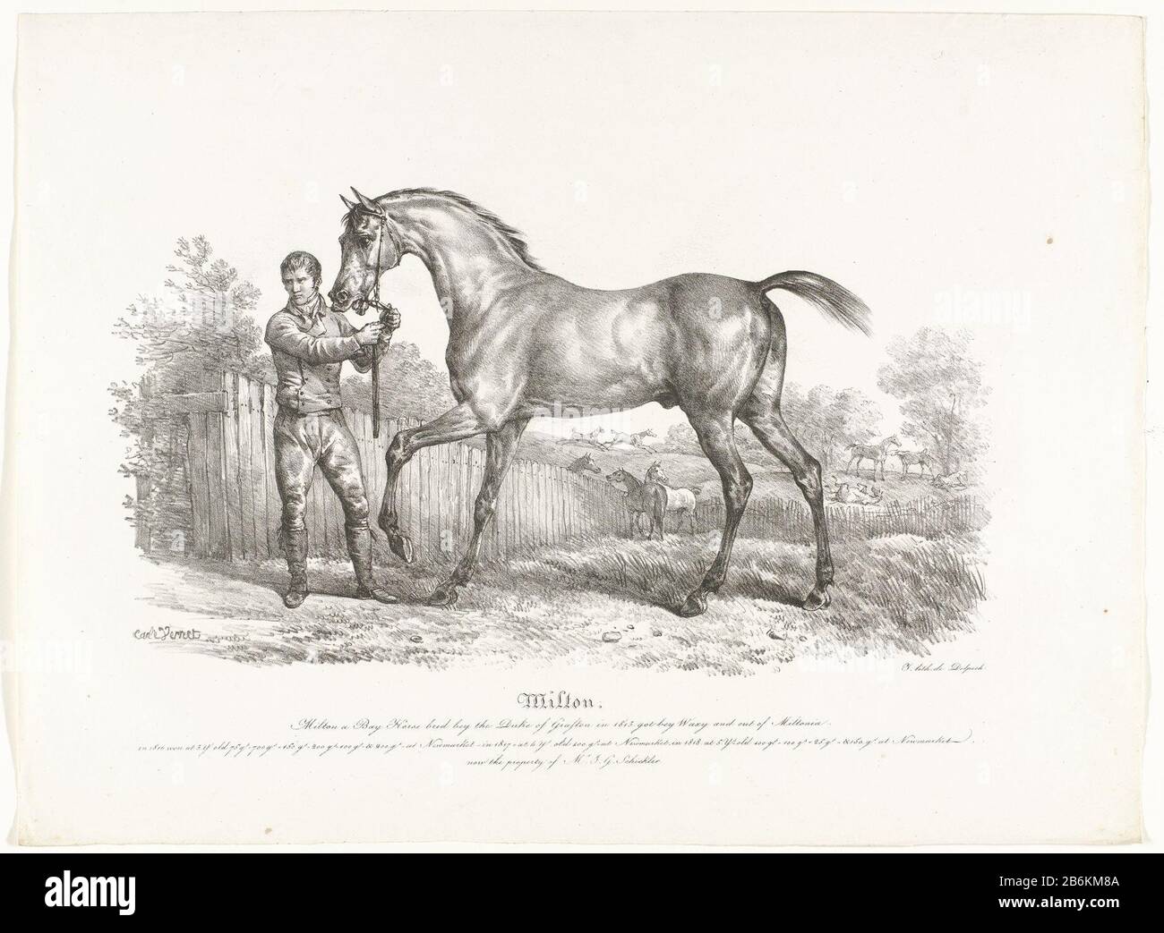 Ein Pferd drehte sich im stehen nach links. Bildunterschrift: Ali / cheval arabe / Envoyé par le Sultan Muscat à Mr. Le Baron de Capellen ... Gouverneur General des Grandes indes / à Batavia Immobilientyp: Bild Artikelnummer: RP-P-1888-A-13733 Hersteller: Druckmaschine: Carle Vernetdrucker: Veuve Delpech (Naudet) Datum: 1760-1837Physikalische Merkmale: Lithographisches Material: Papiertechnik: Lithographie (Technik) Thema: Pferde und Kindred Animalswie: Kunst Philip Godbaron der Gerard van Capbarelle Stockfoto
