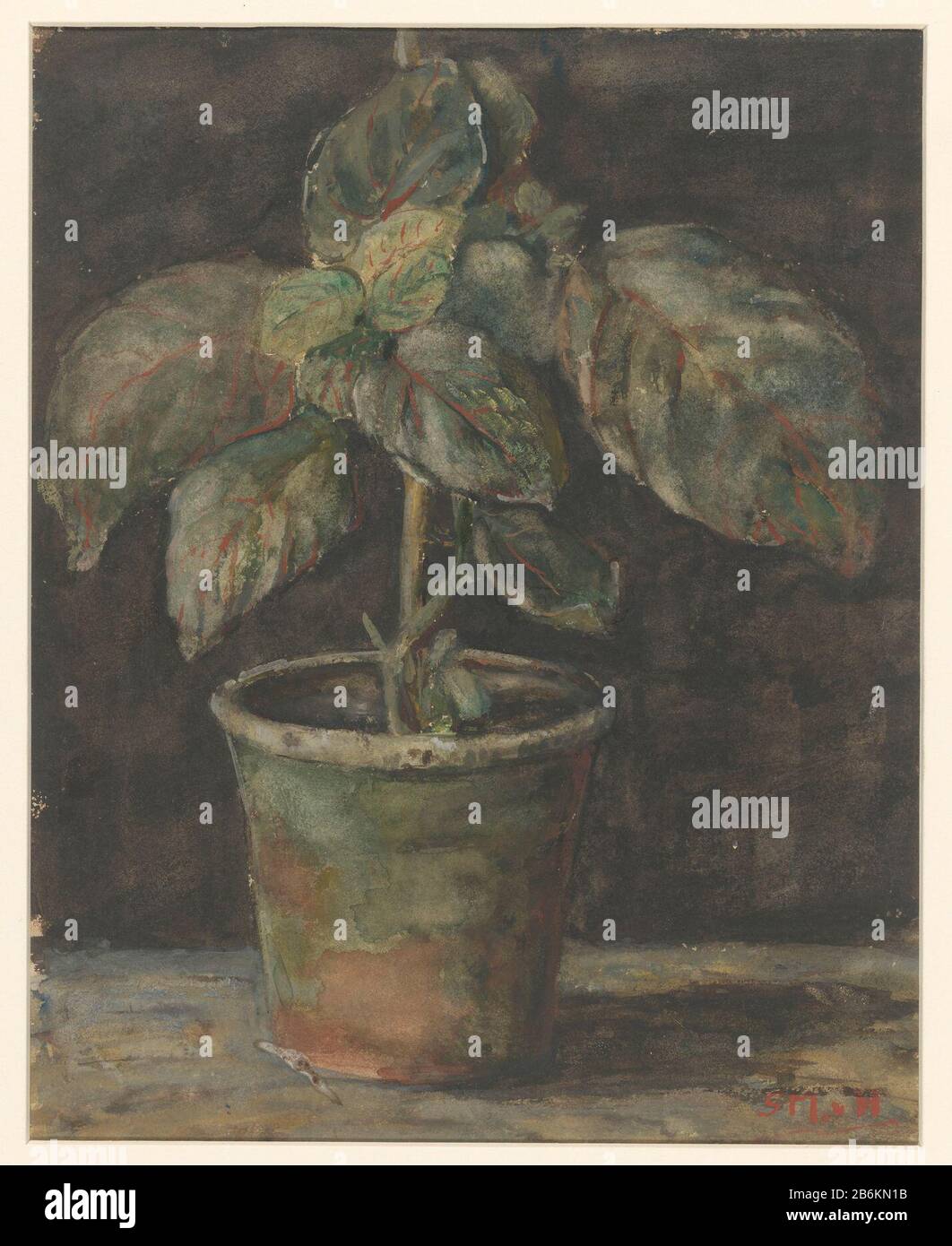 Topfpflanze A Topfobjekt Typ: Zeichnung Aquarell Objektnummer: RP-T-1959-325 Hersteller: Zeichner: Sientje Mesdag-Holz Datum: 1844 - 1909 Physikalische Merkmale: Bürste in Farbmaterial: Papier-Aquarell-Technik: Pinselmaße: H 308 mm × b 247 mm Betreff: Pflanzen und Re- Stockfoto