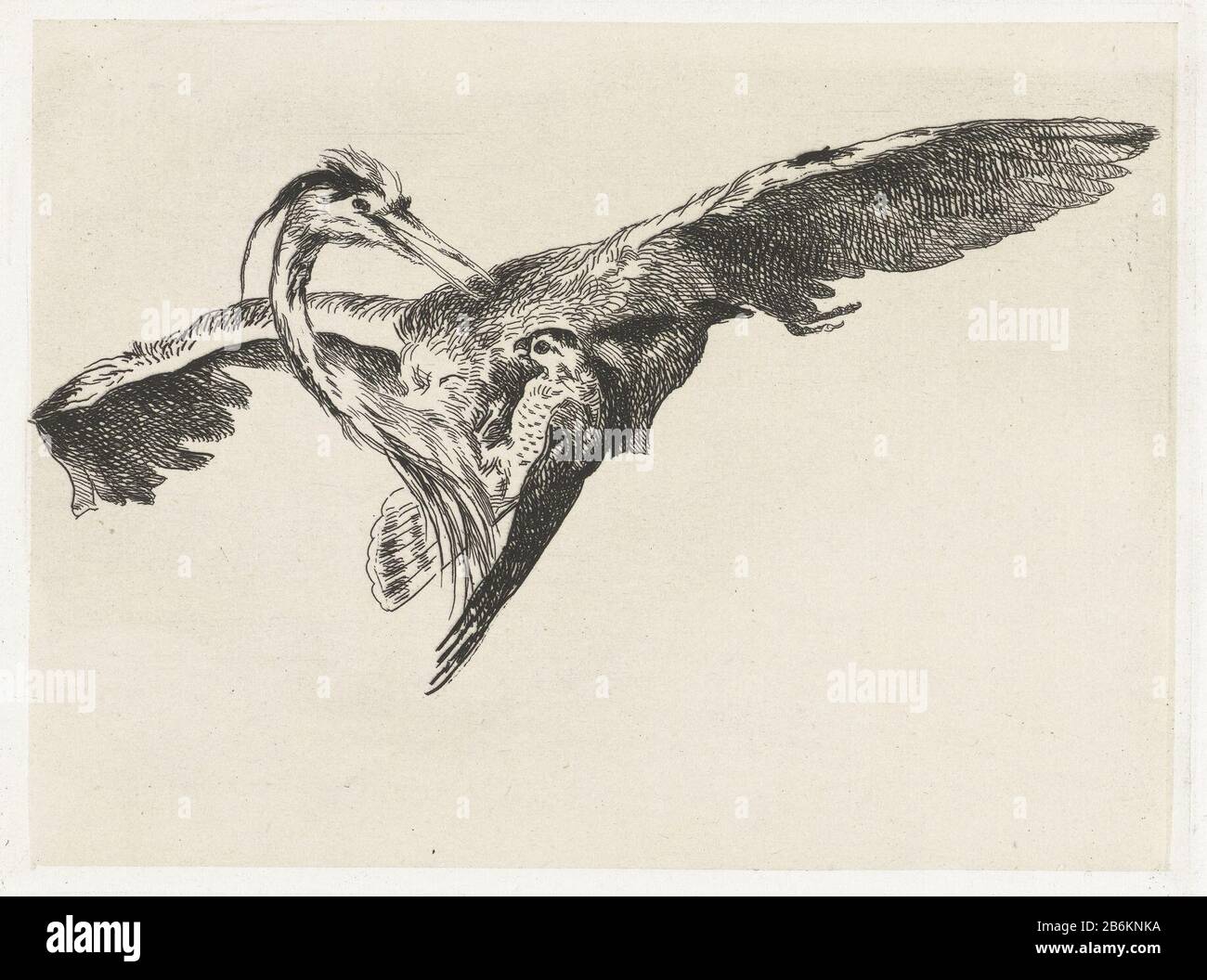 Ein Falke fällt auf einen Reiher im Flug EIN Falke überzieht einen Reiher im Flugobjekttyp: Bild Artikelnummer: RP-P-1889-A 14893 Aufschriften / Marken: Sammlermarke, Verso, gestempelt: Lugt 2228 Hersteller: Druckerhersteller Guillaume Anne van der Brugghen zu eigenem Entwurf : Guillaume Anne van der Brugghen Place Herstellen: Niederlande Datum: CA. 1826 - Merkmale in oder für das Jahr 1889 Physikalisch: Radierung auf Chinakollé Material: Papierkochenkollé Technik: Ätzmaße: Plattenkante: H 110 mm × W 146 mm Subjekt: Landvögel und Watvögel: Heldensport, Spiele  Tiere (+ Jagd mit Falke, Haw Stockfoto