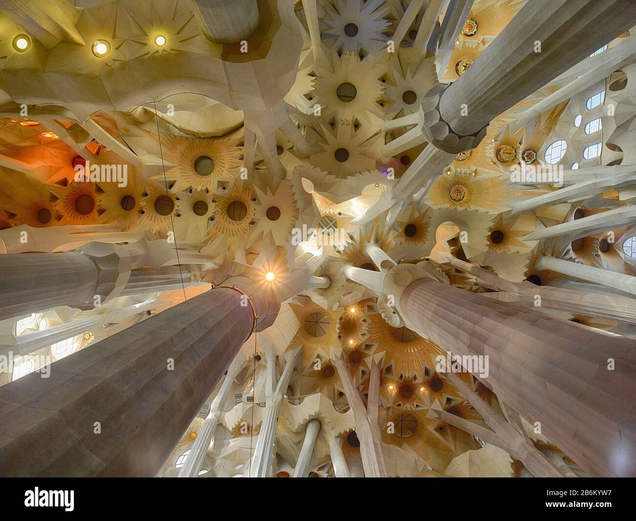 Architektonisches Detail der Sagrada Familia Decke, Barcelona, Katalonien, Spanien Stockfoto
