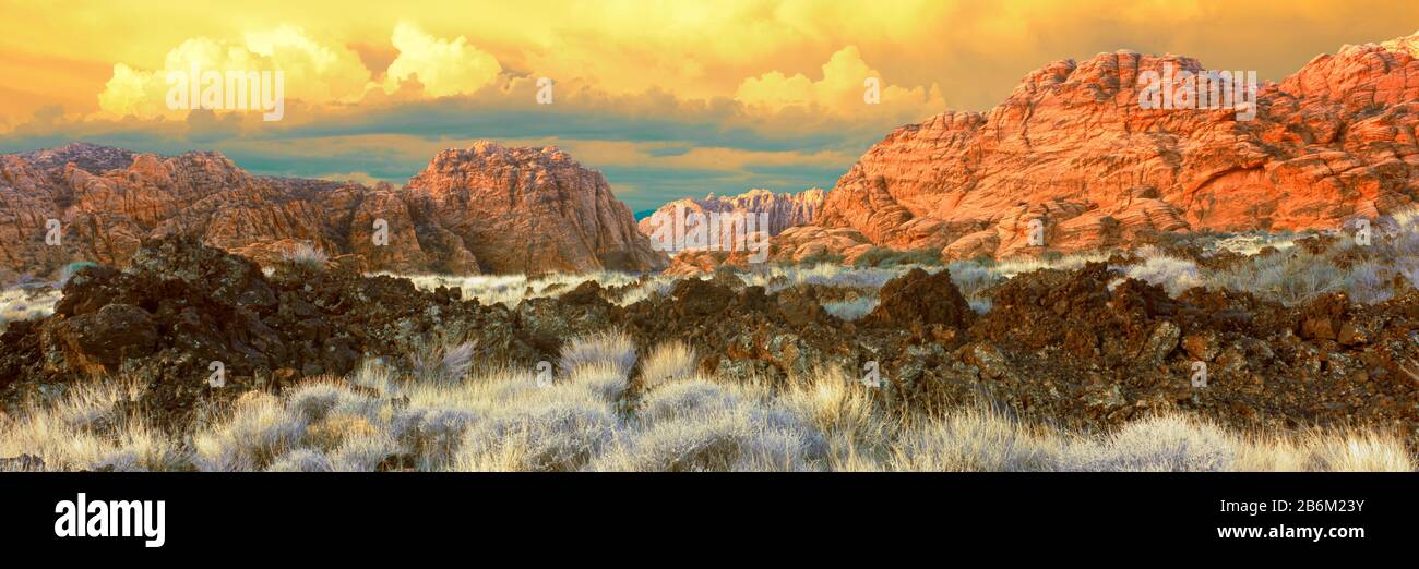 Klippen im Snow Canyon State Park, Washington County, Utah, USA Stockfoto