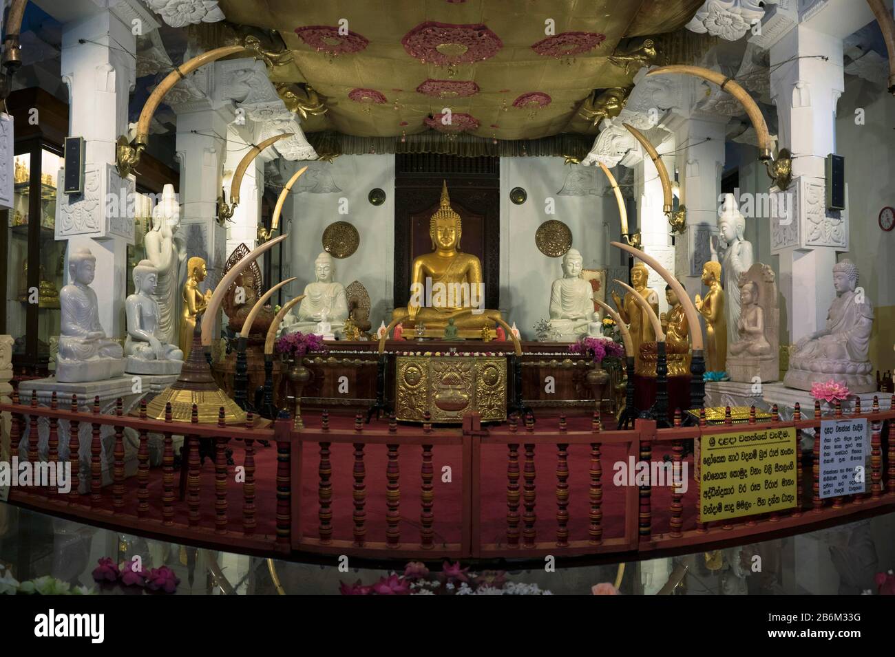 Buddha-Statuen in Sri Dalada Maligawa (Tempel der Heilig-Zahn-Reliquie), Kandy, Zentralprovinz, Sri Lanka Stockfoto