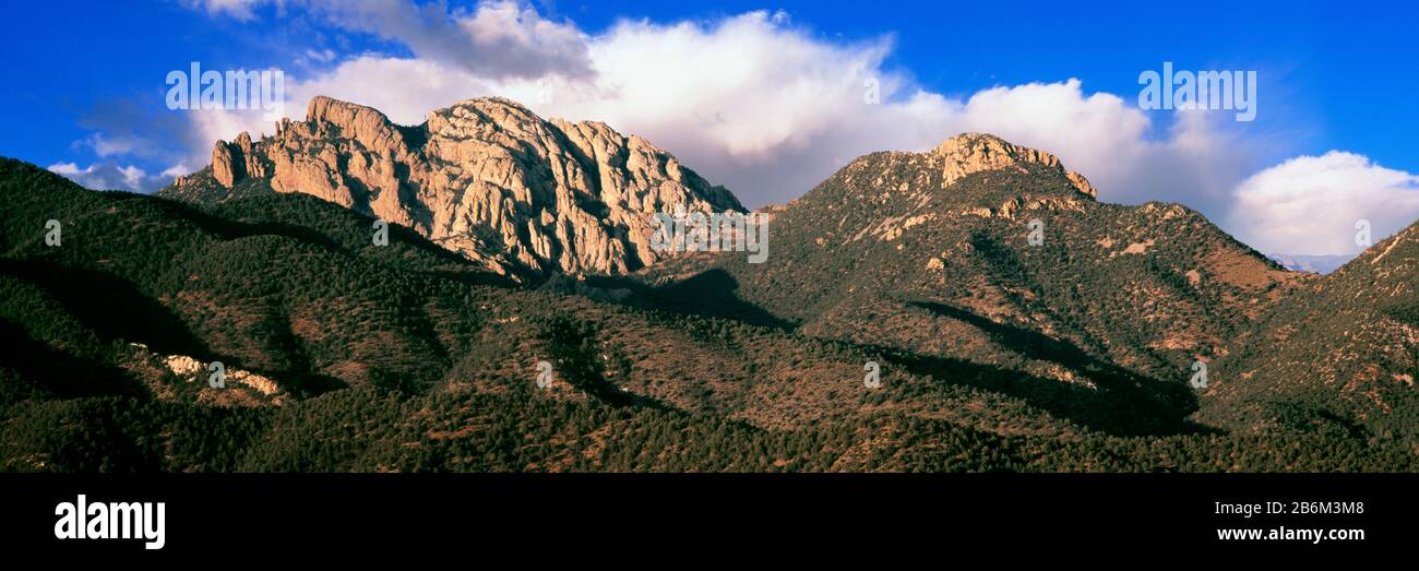 Blick auf den Cochise Head Mountain, Cochise, Cochise County, Arizona, USA Stockfoto